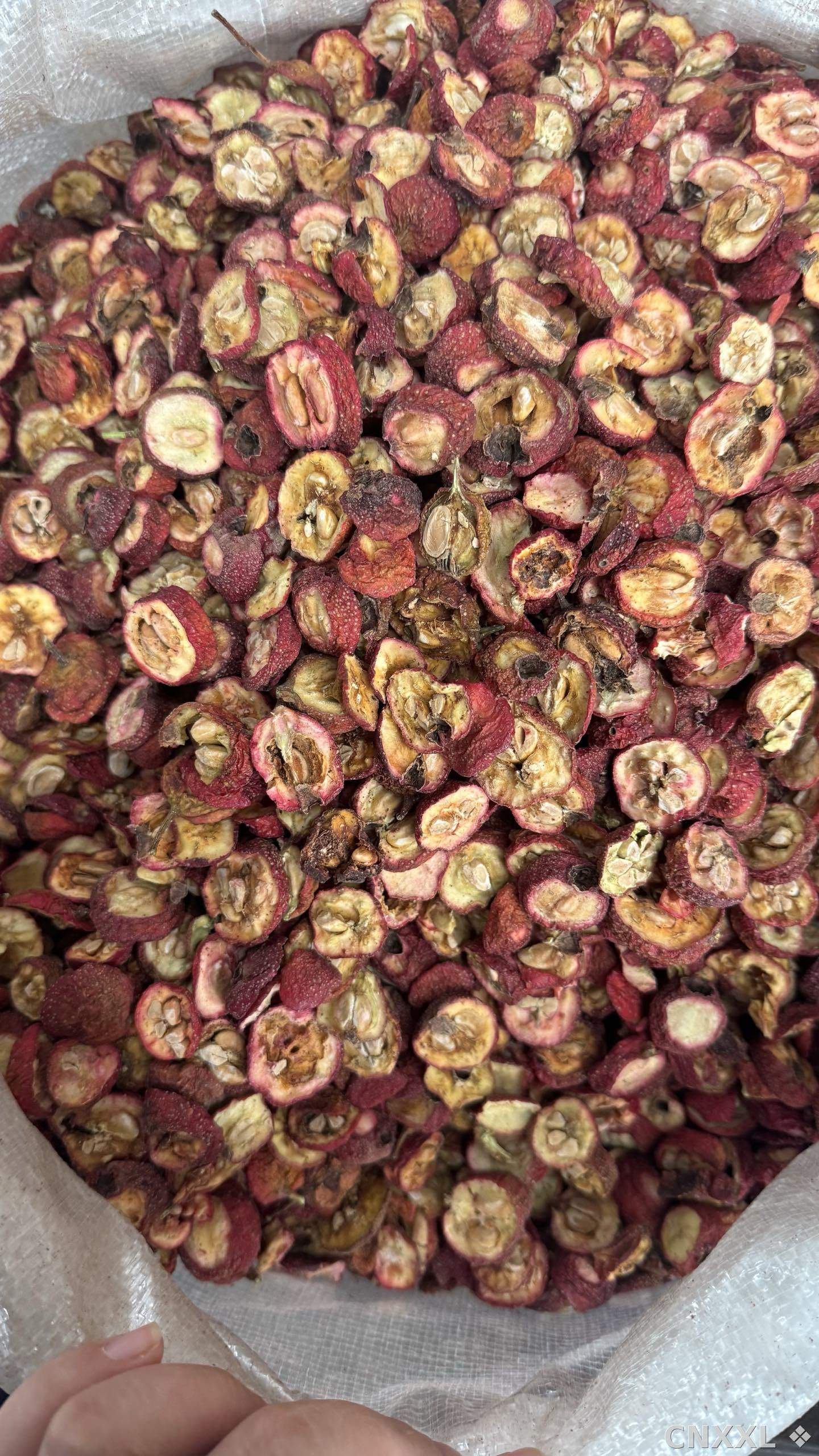 spice_25340_4718ad42_3.jpg