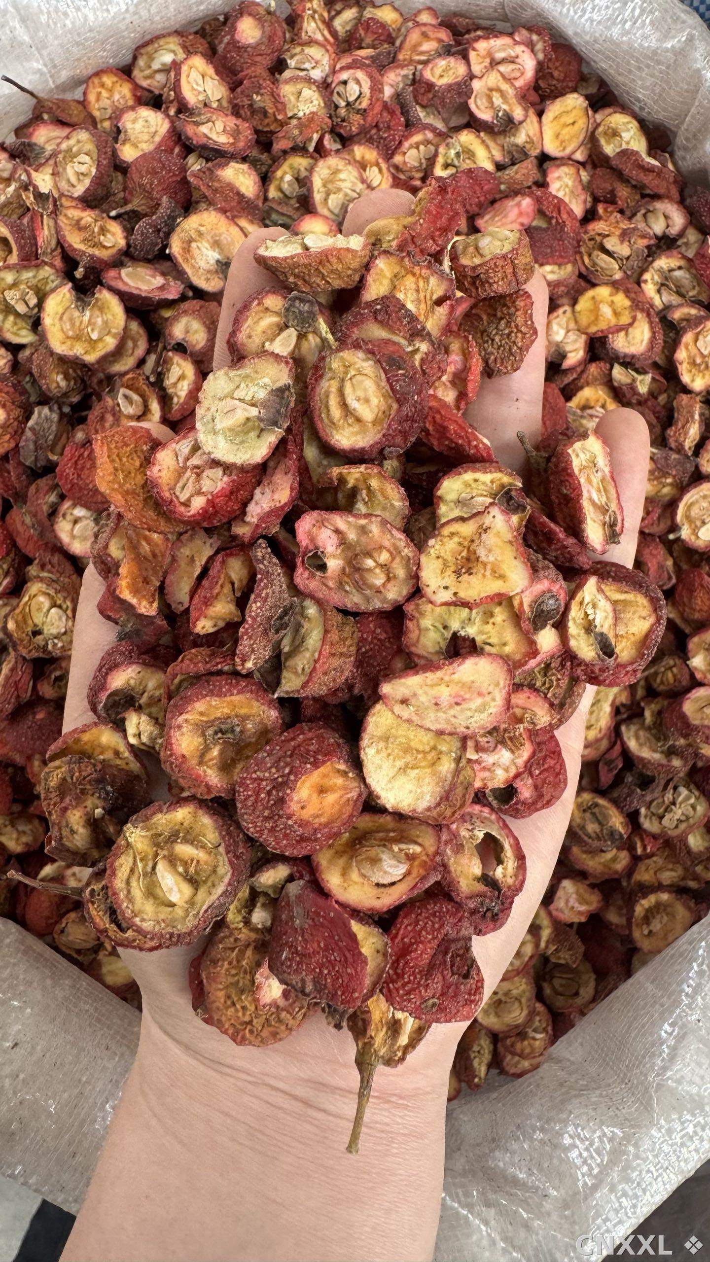 spice_25340_fcbce9c4_1.jpg