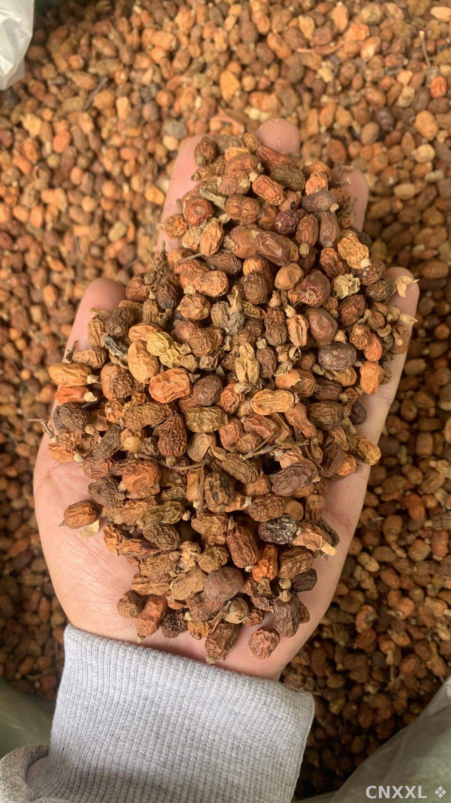 spice_25520_370ee3ae_1.jpg