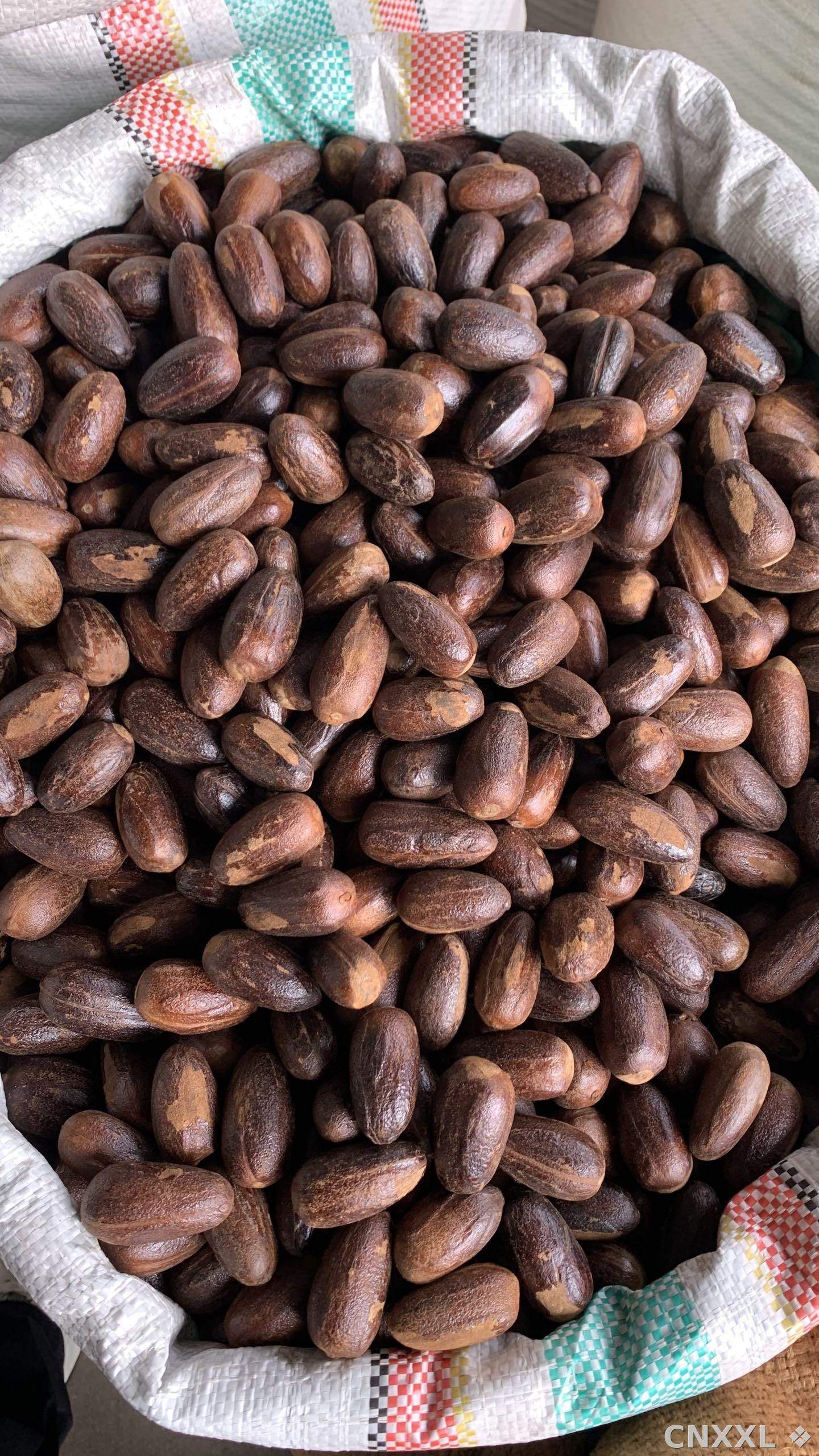 spice_25524_97aa5f7e_3.jpg