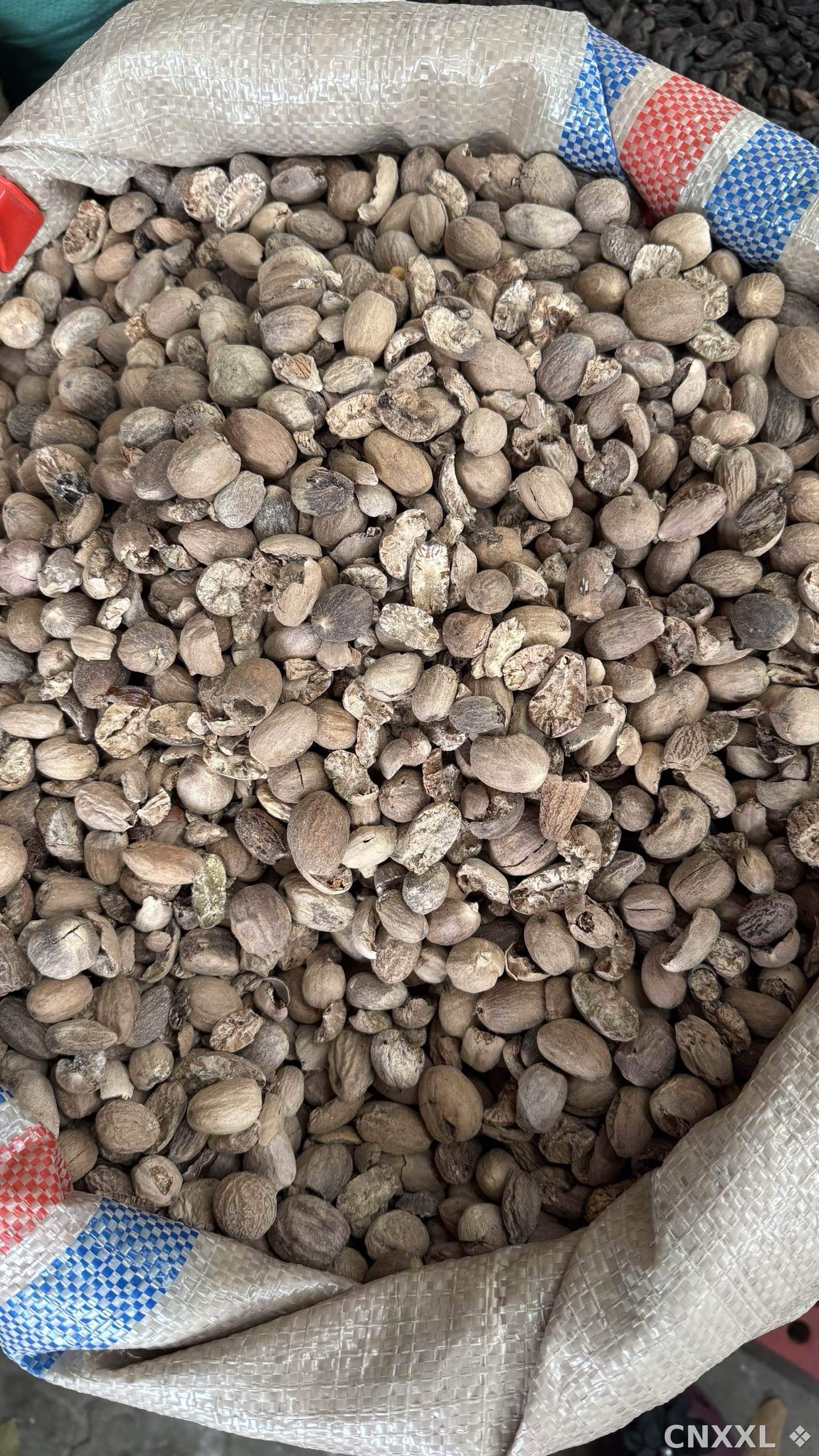 spice_25534_1ee71841_3.jpg
