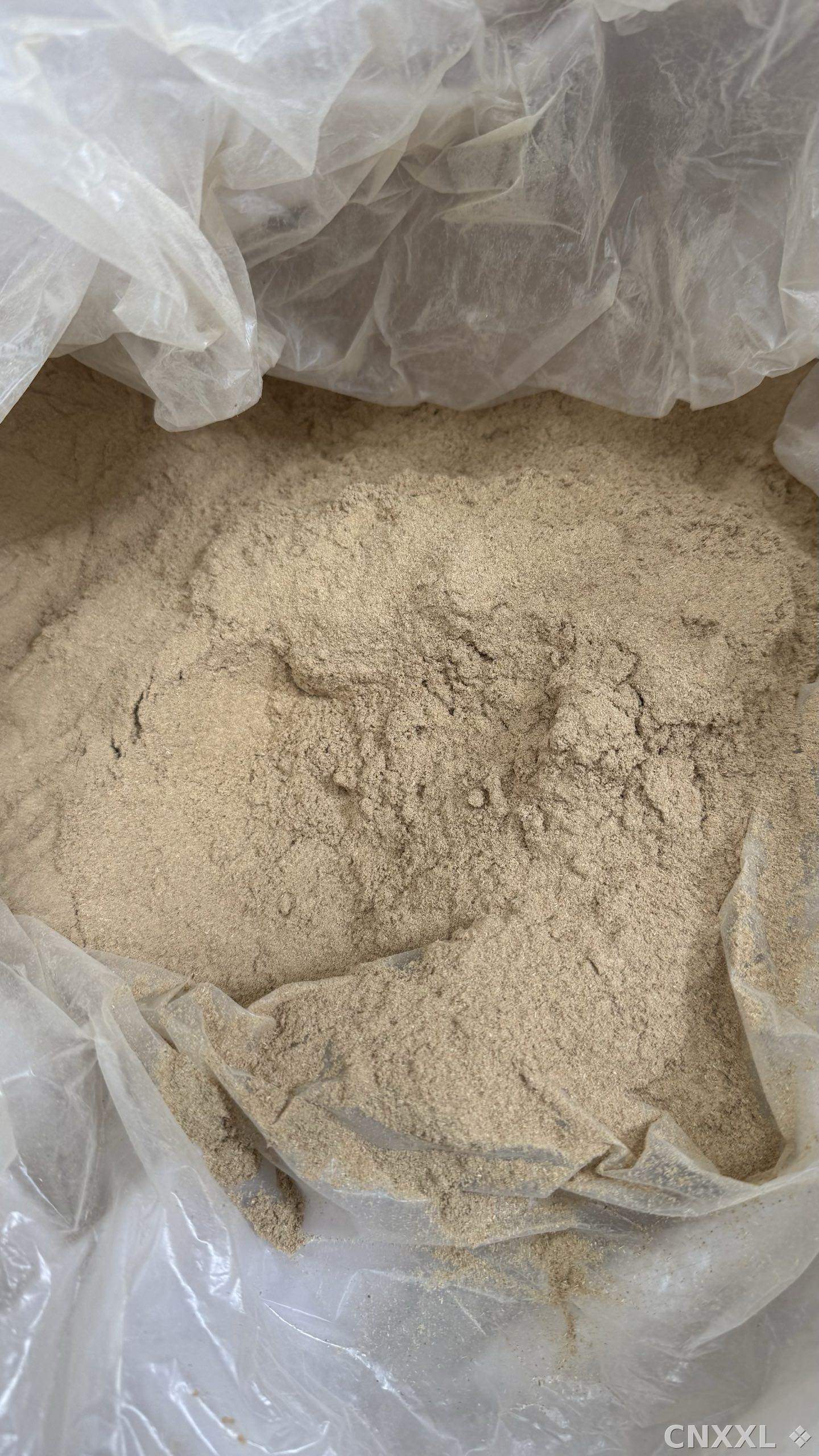 spice_25545_8be3ae51_3.jpg