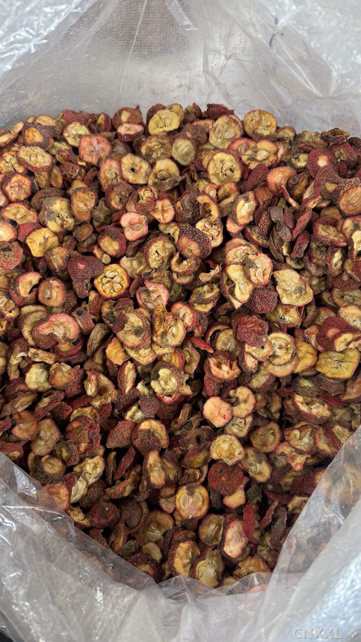 spice_25557_3d90acb4_3.jpg