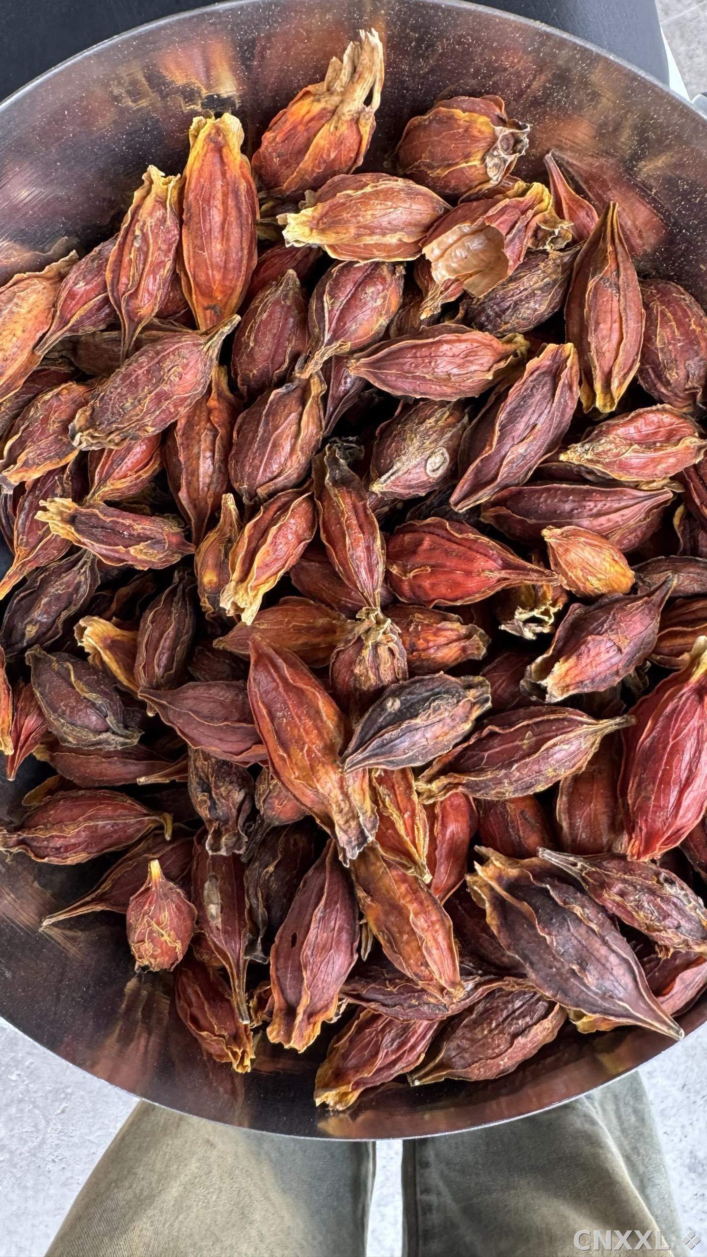 spice_25564_16d8bf76_3.jpg