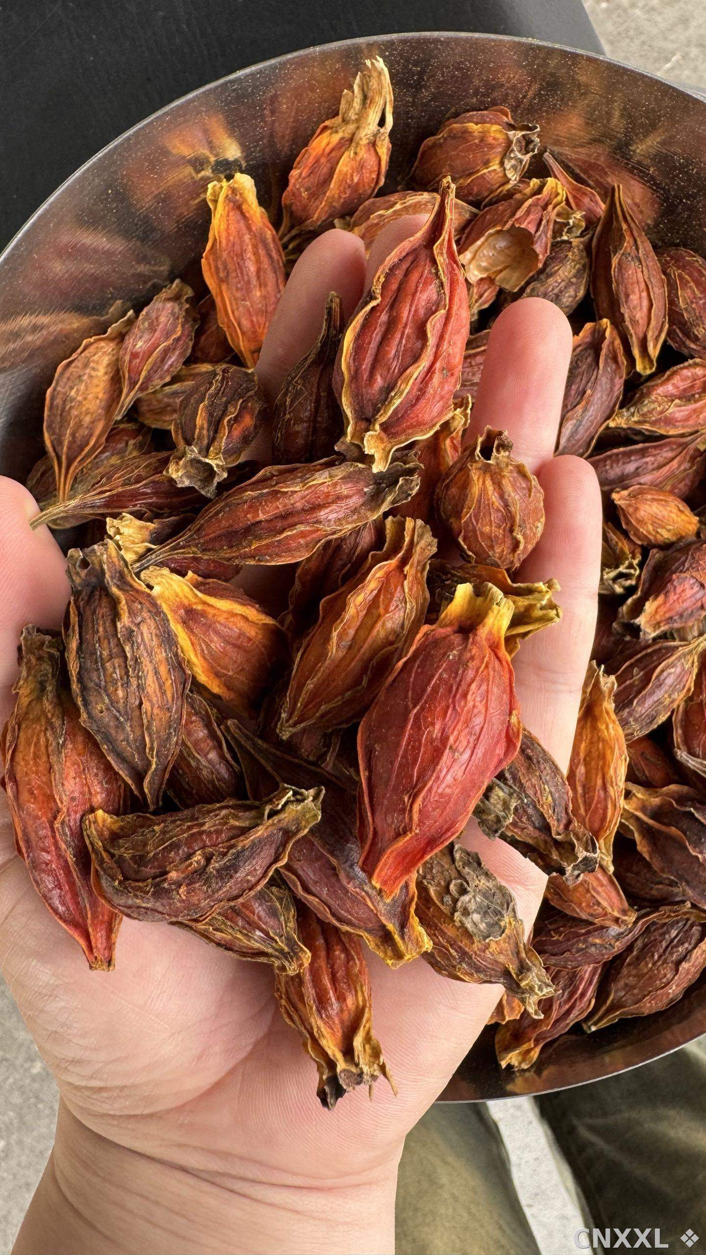 spice_25564_1fd504d1_2.jpg
