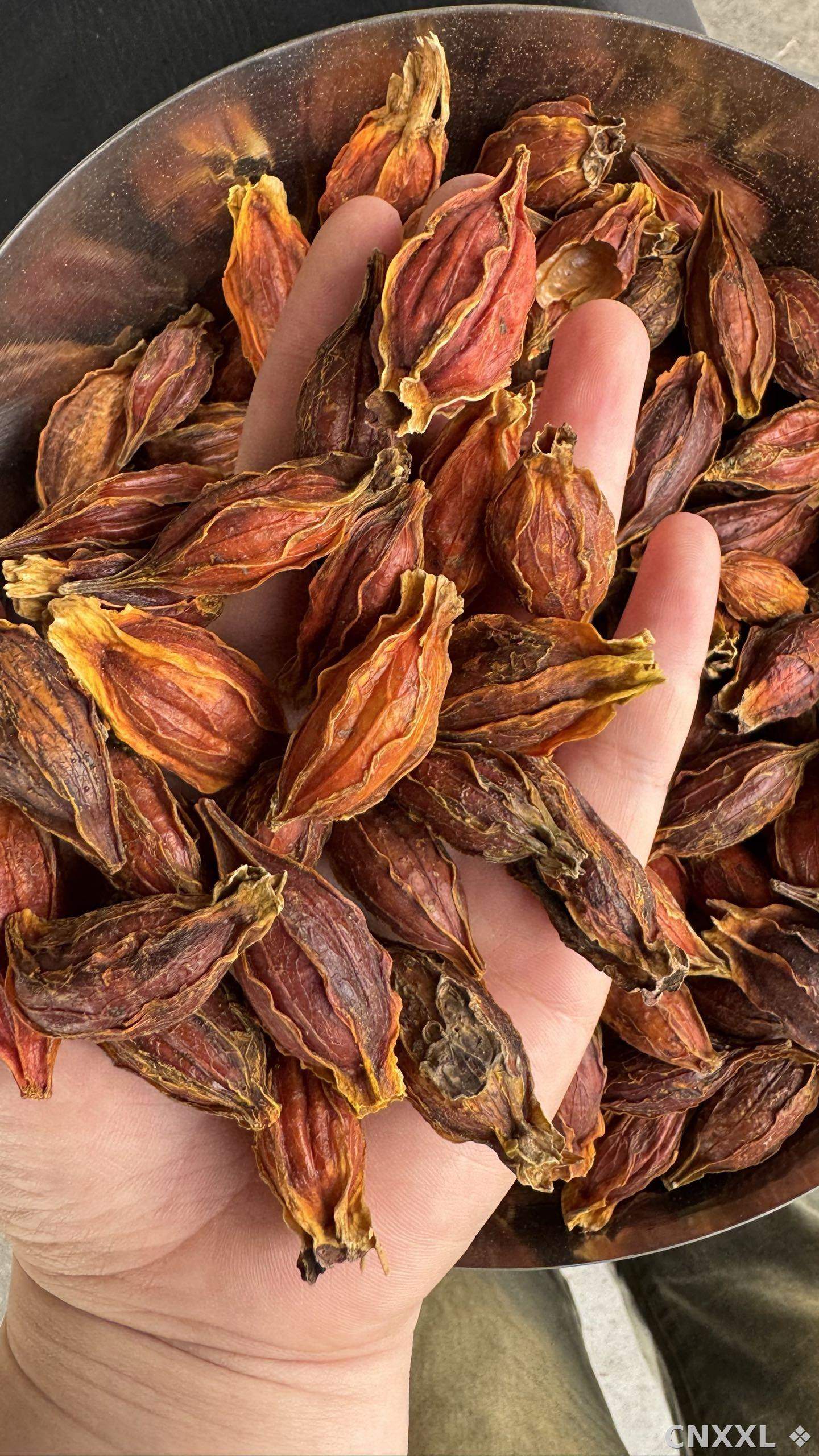 spice_25564_f3402c92_1.jpg