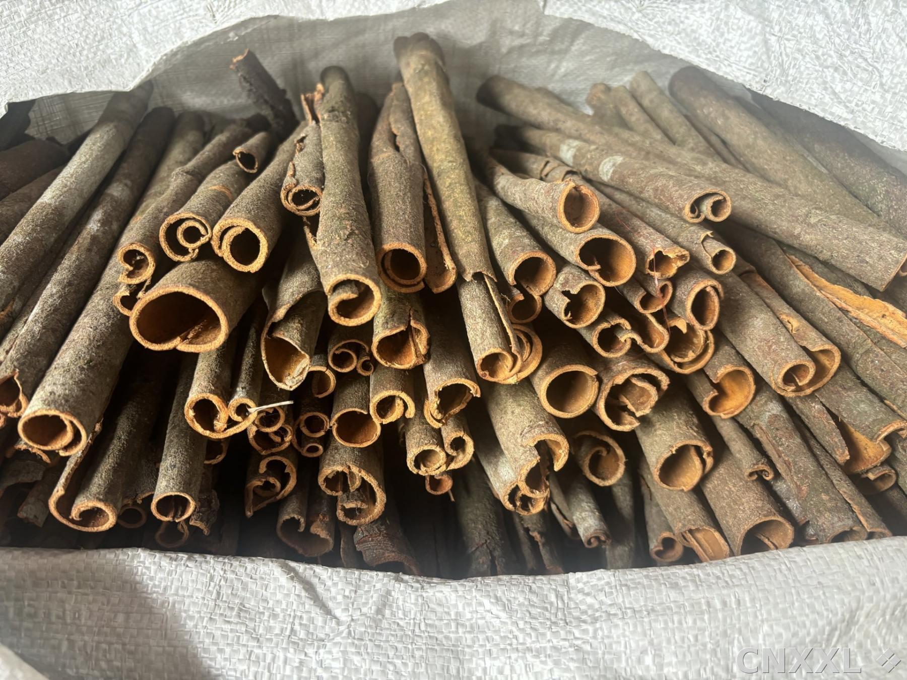 spice_25567_ff6ac288_2.jpg