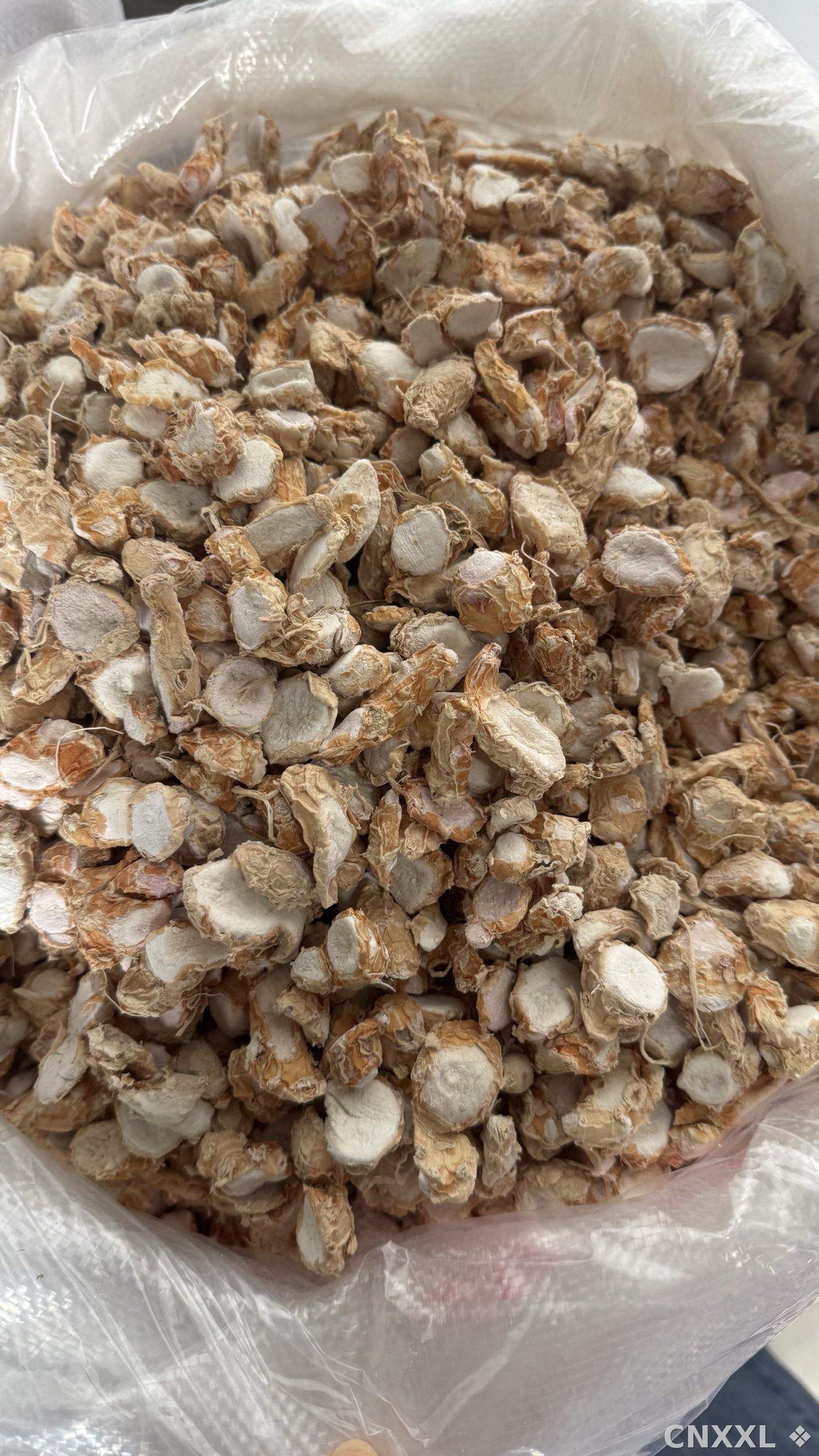 spice_25568_b75d0f28_2.jpg