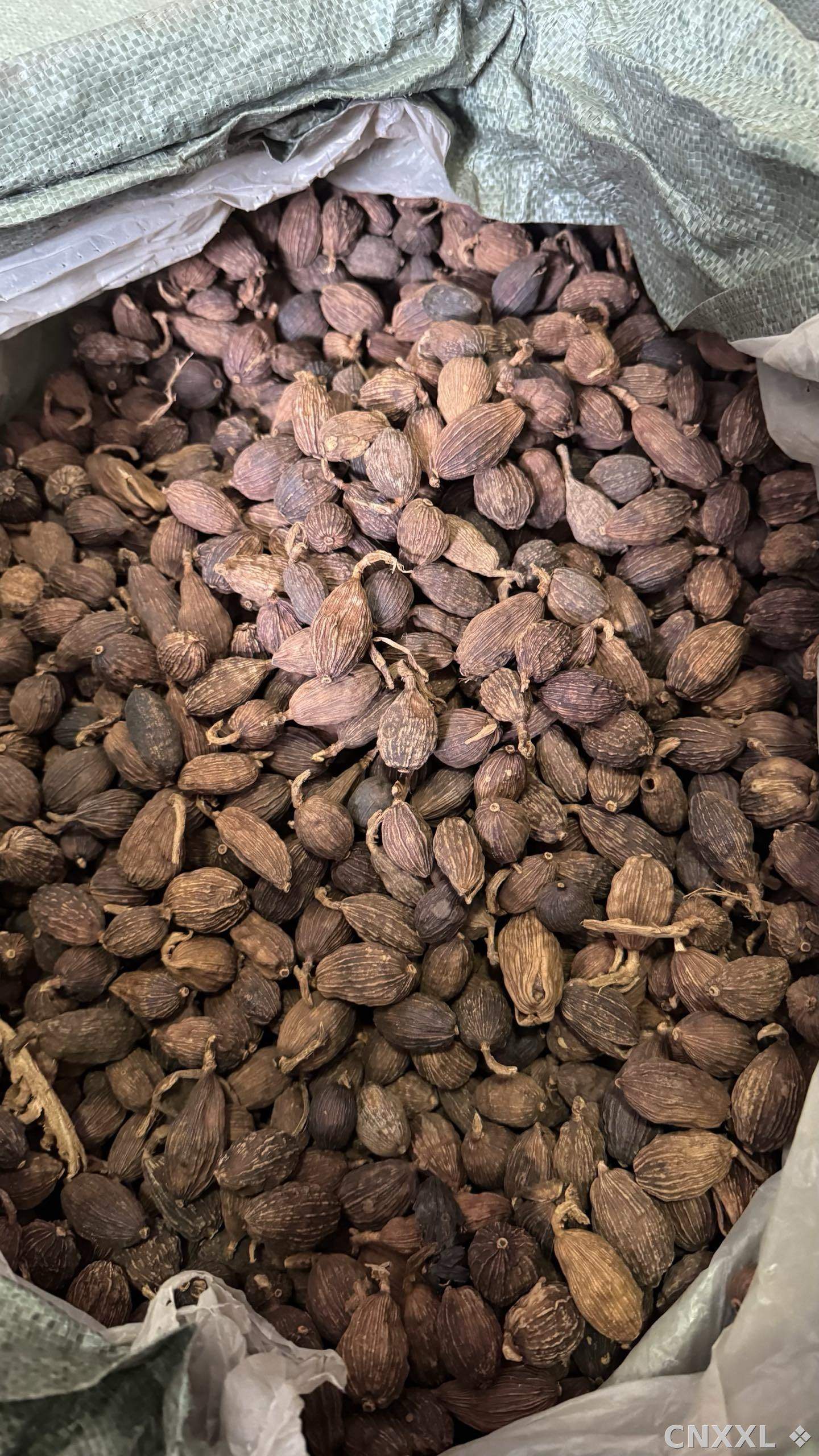 spice_25570_0a52db93_3.jpg