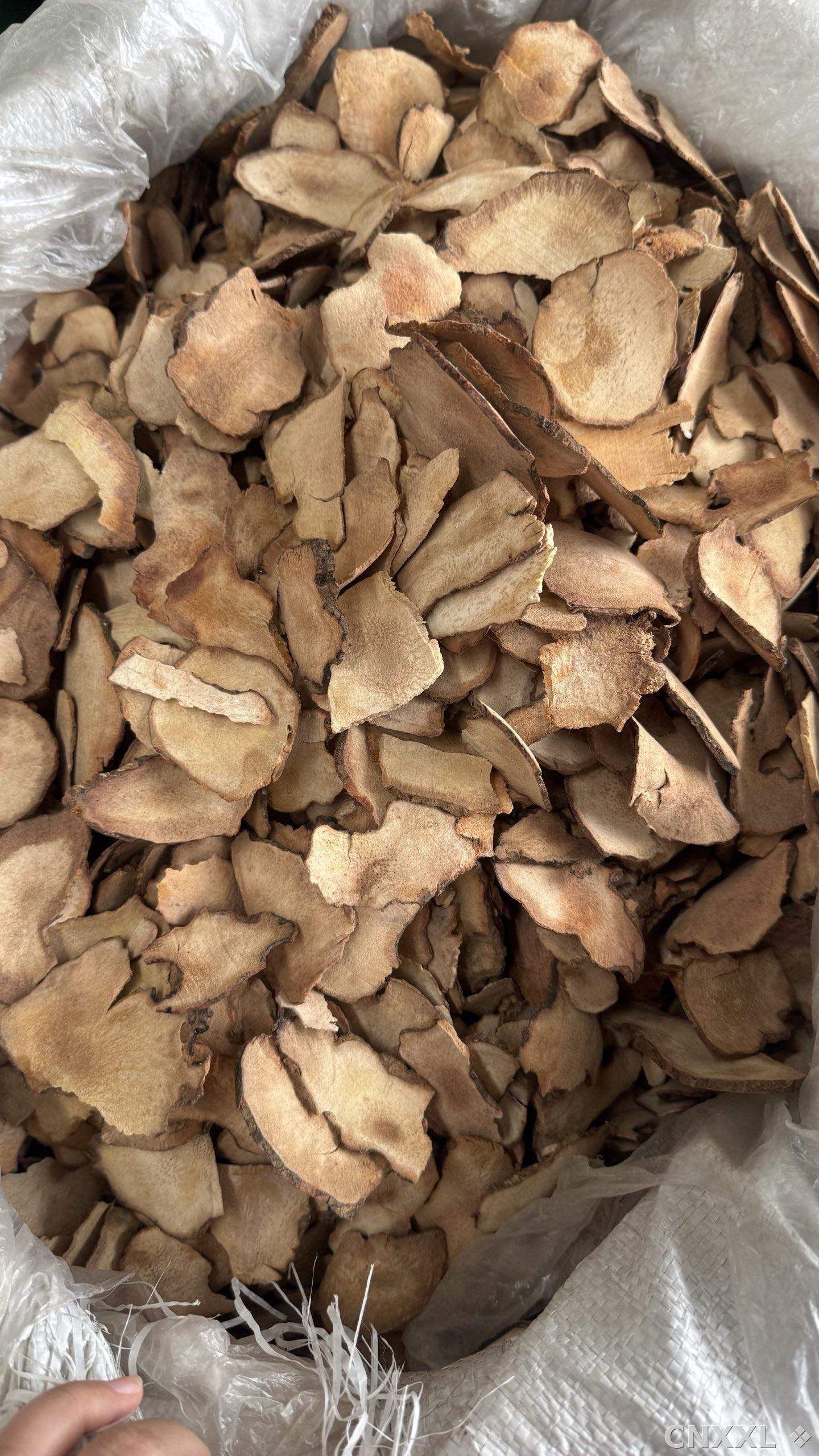 spice_25575_4ccd2622_3.jpg