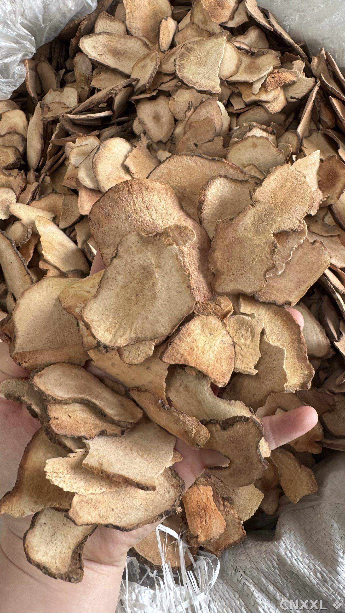 spice_25575_f70fc9c7_1.jpg