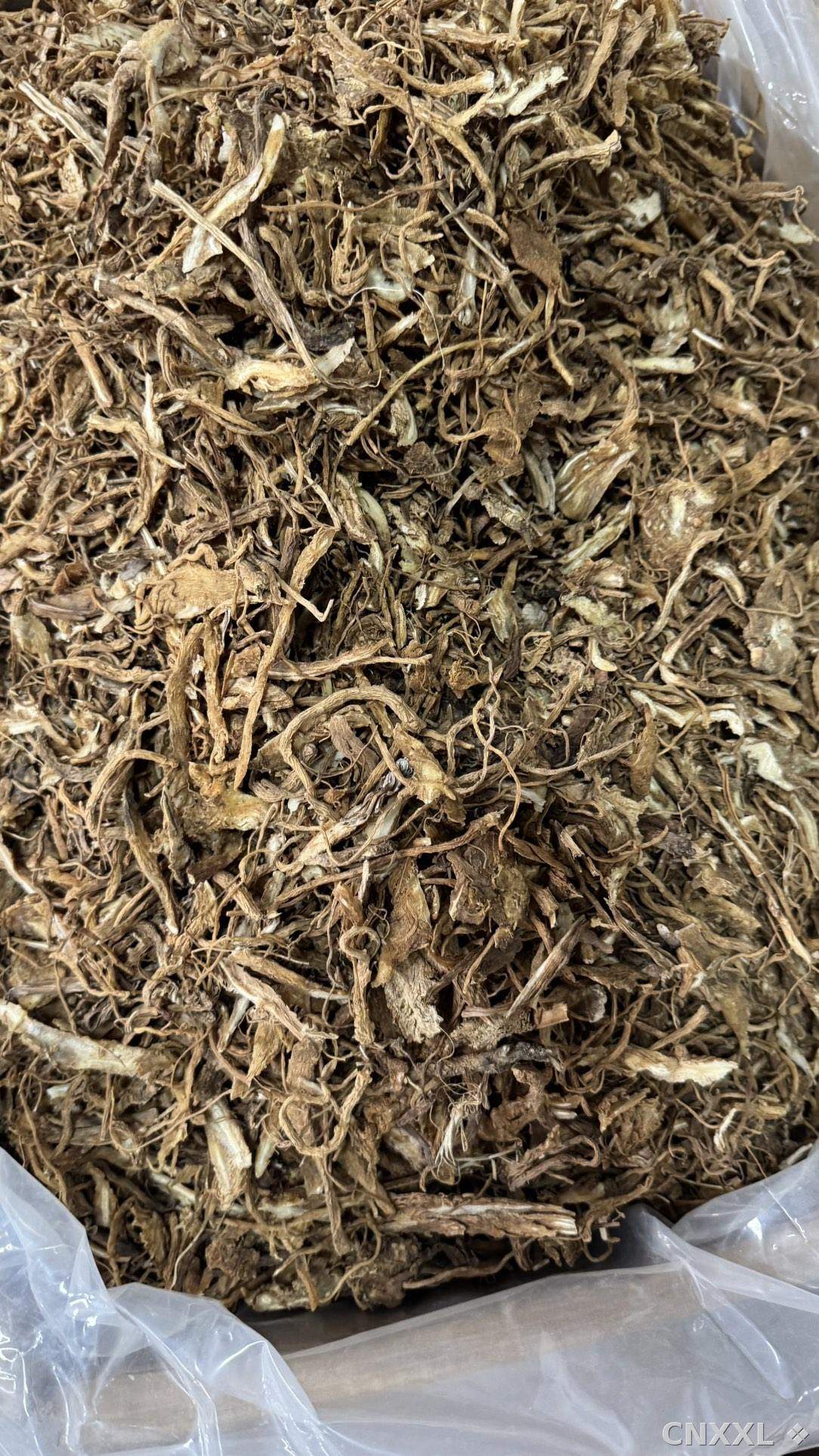 spice_25582_2577eac5_2.jpg