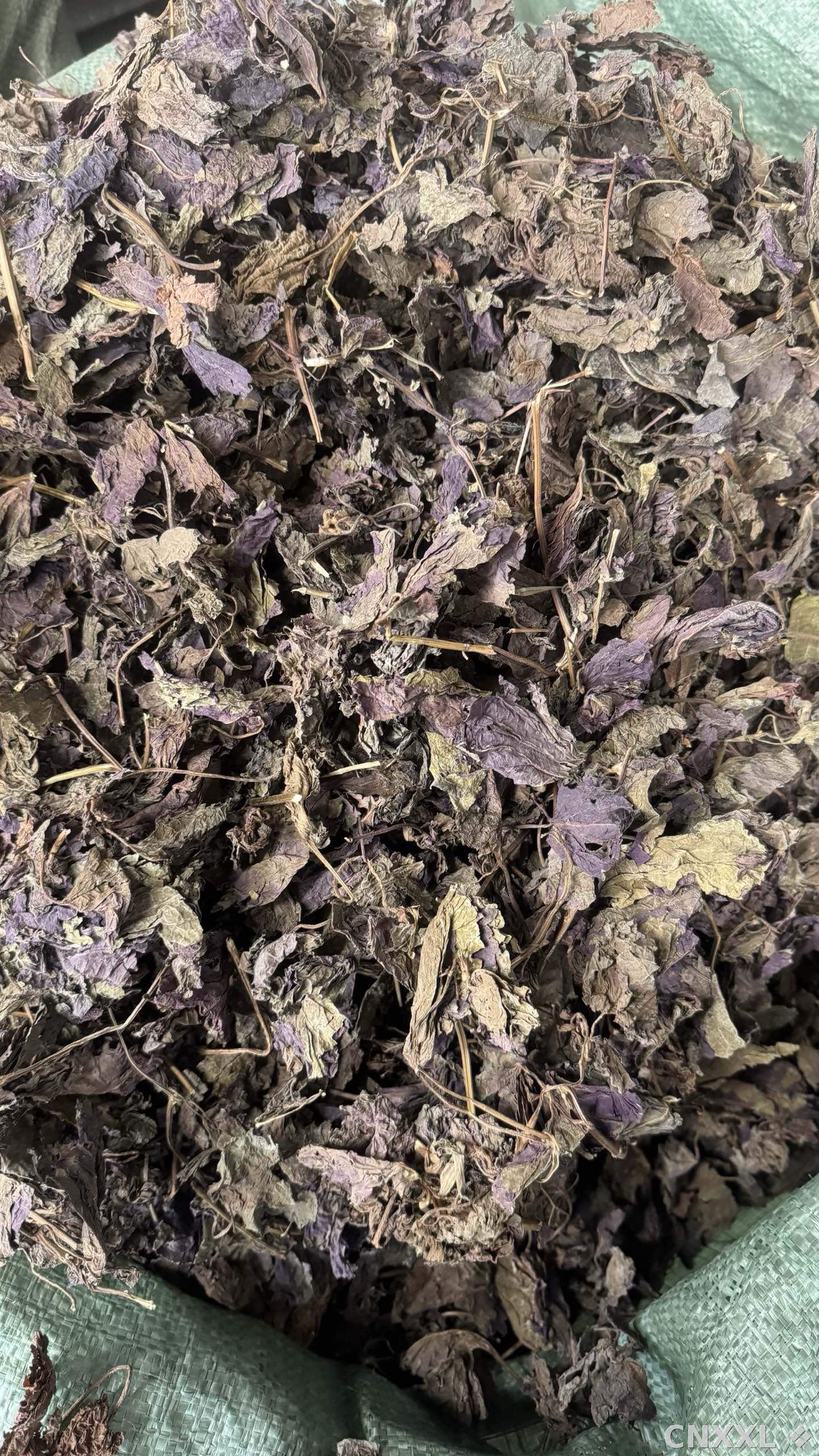 spice_25584_26c6aaa7_3.jpg