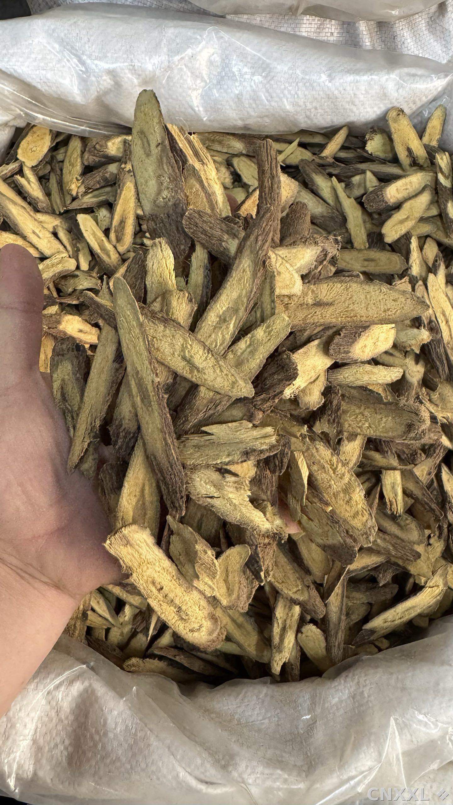 spice_25585_3bafb38e_2.jpg