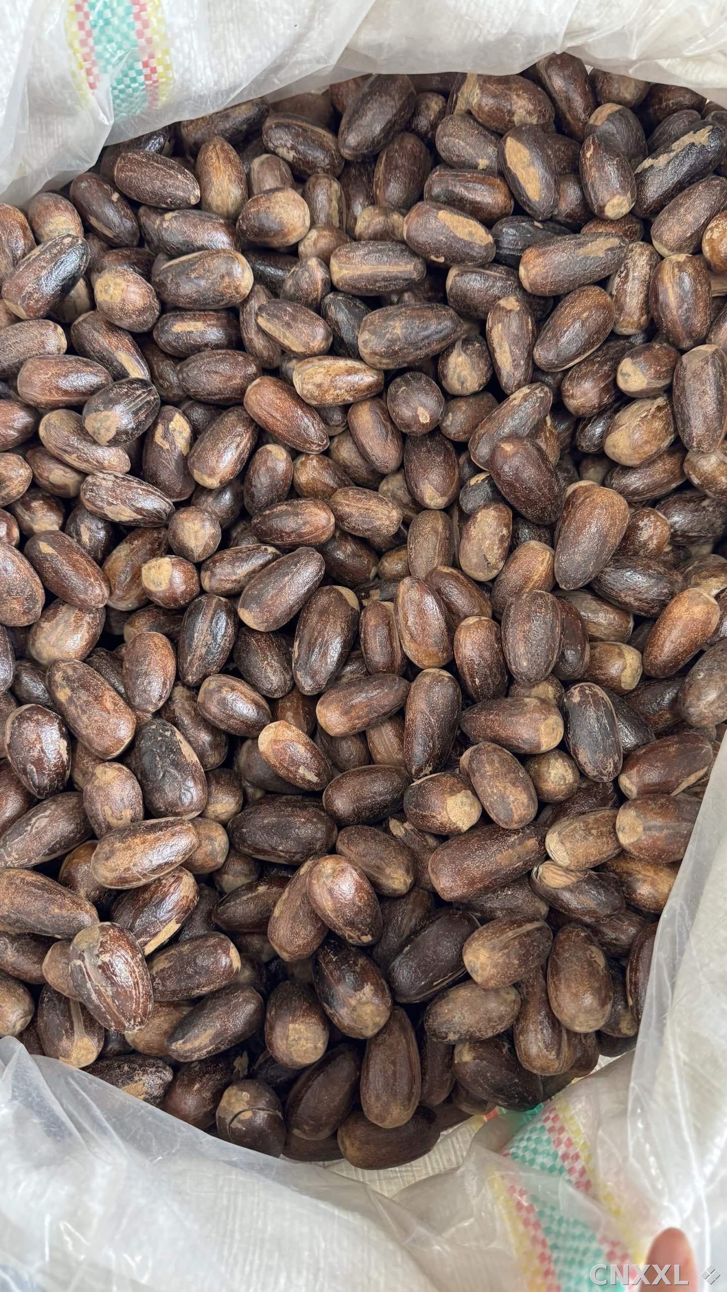 spice_25586_fd21e7da_2.jpg