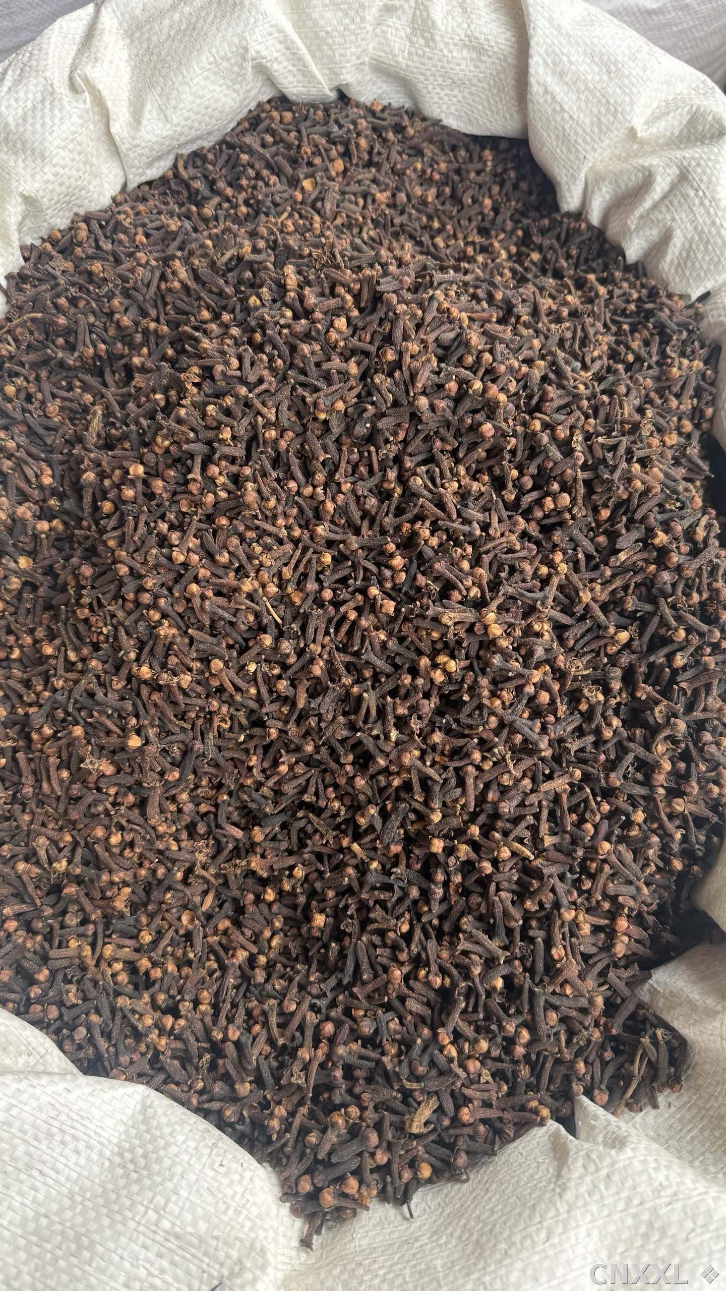 spice_25590_58ad78dd_3.jpg