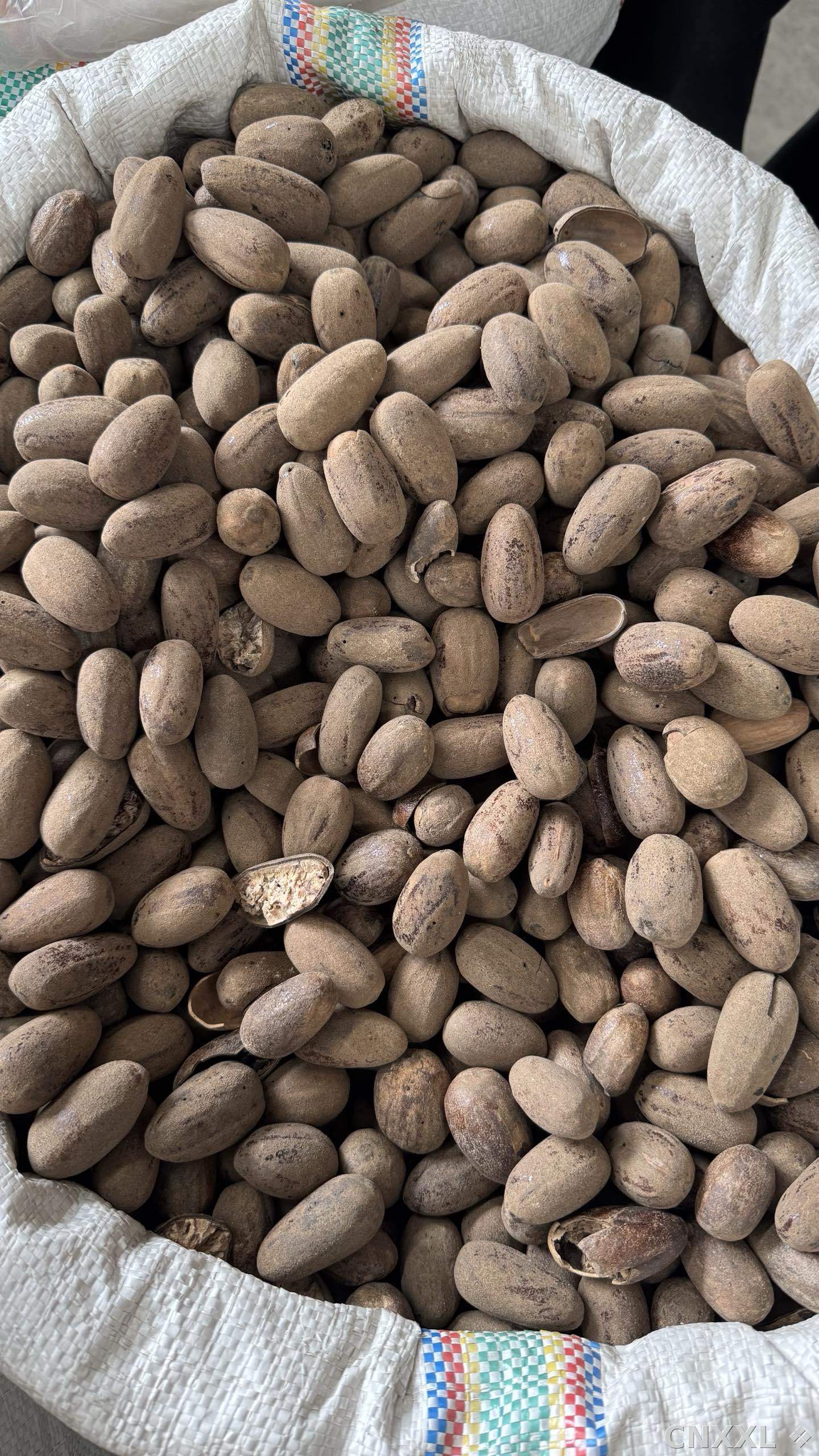 spice_25594_cf8b8b55_3.jpg