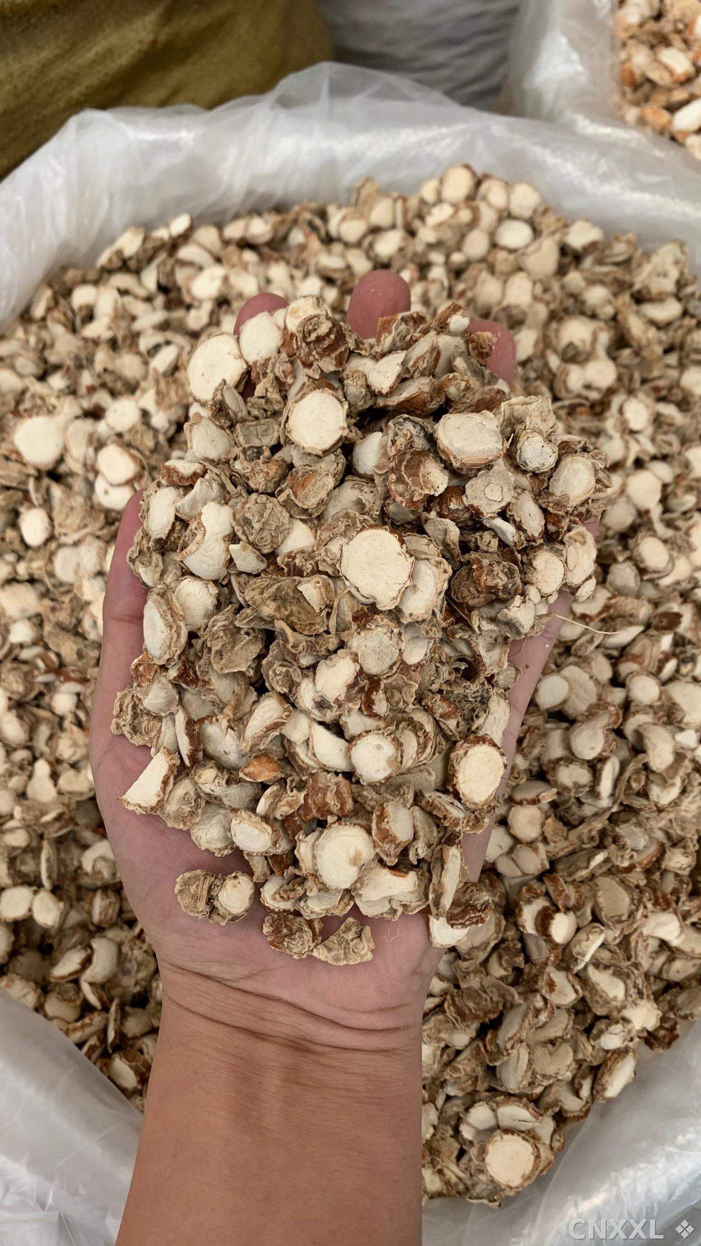 spice_25599_8c31bb0a_2.jpg