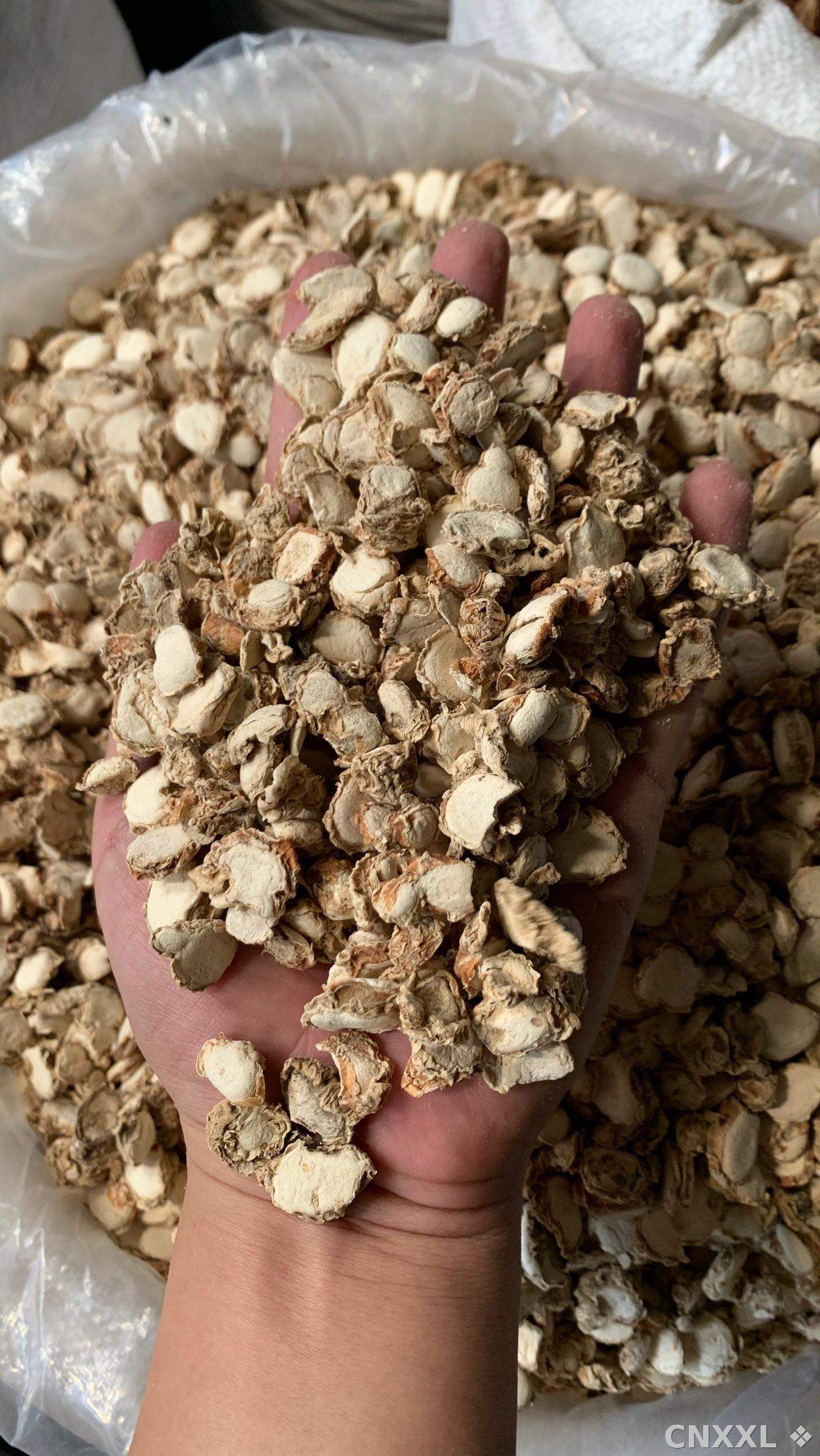 spice_25600_bb7412d4_1.jpg