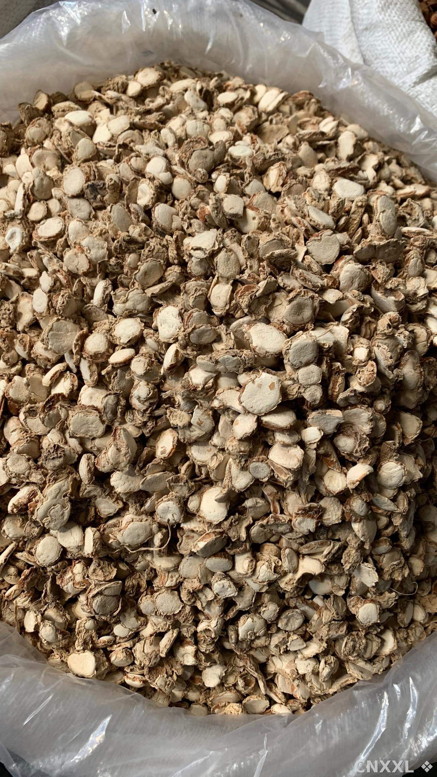 spice_25600_c583c545_3.jpg