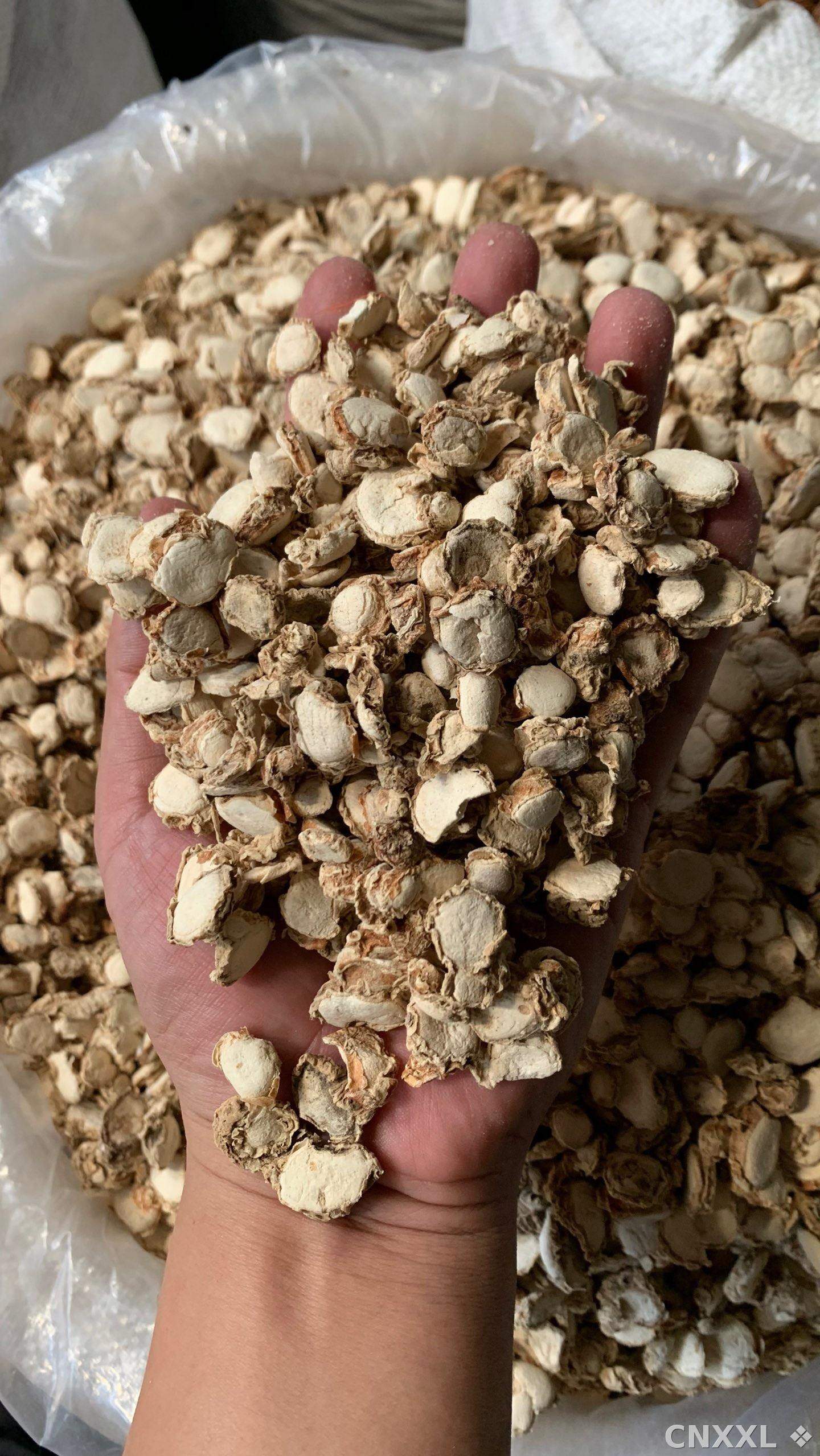 spice_25600_efdefd2d_2.jpg