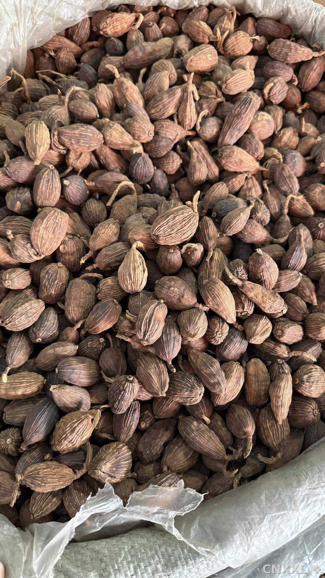 spice_25603_b26c3138_3.jpg