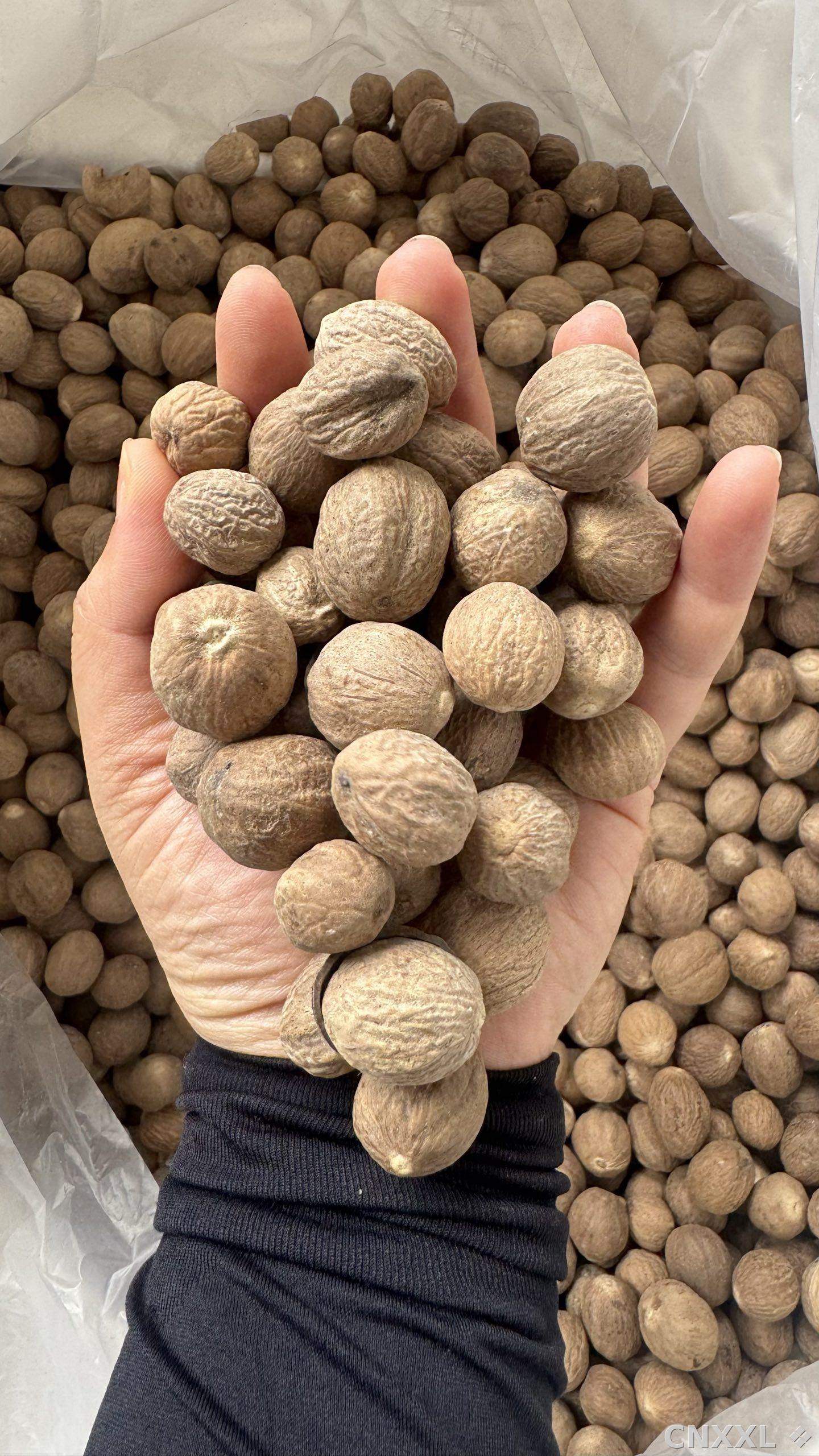 spice_25607_3b6166f6_2.jpg