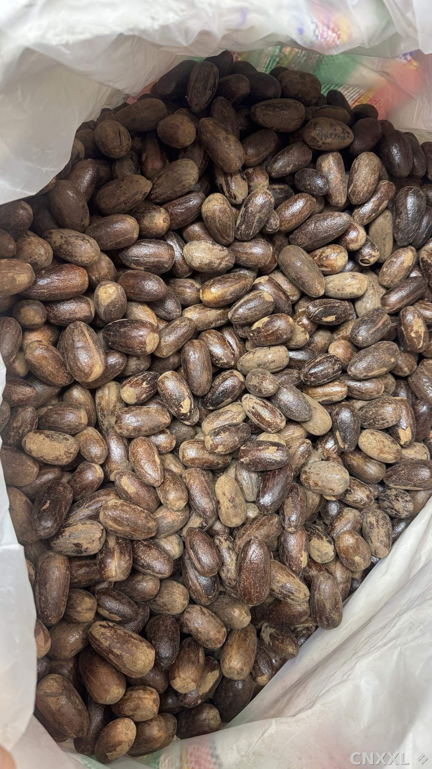 spice_25622_3e55e504_2.jpg