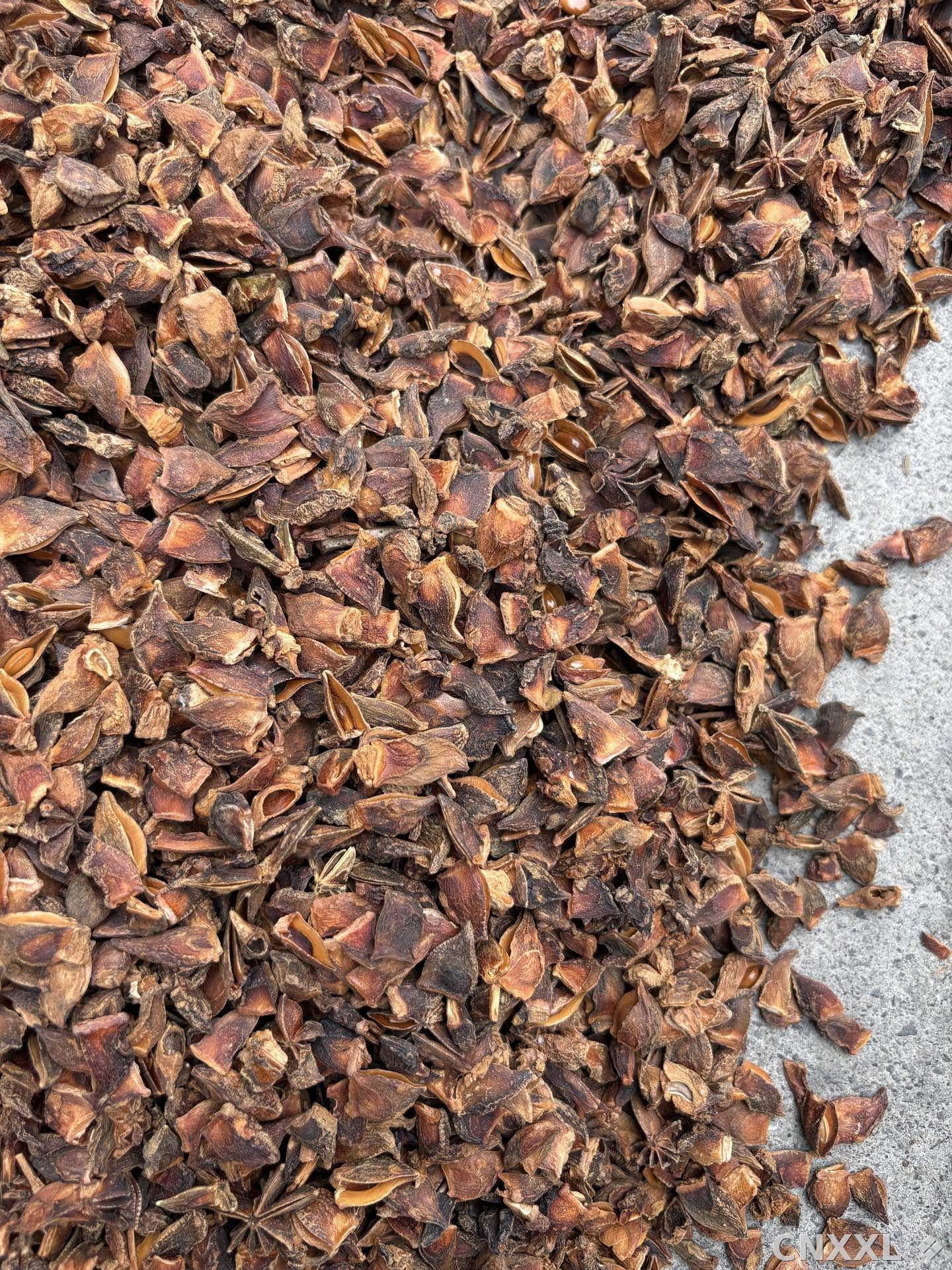 spice_25626_c1d1278b_3.jpg