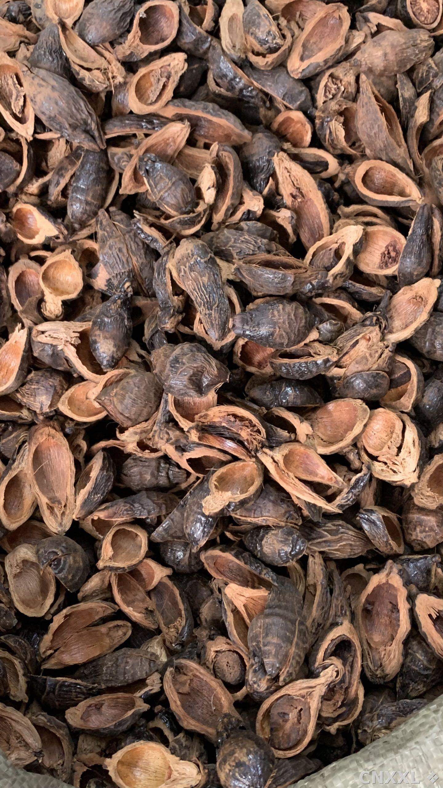 spice_25630_75c934e8_3.jpg