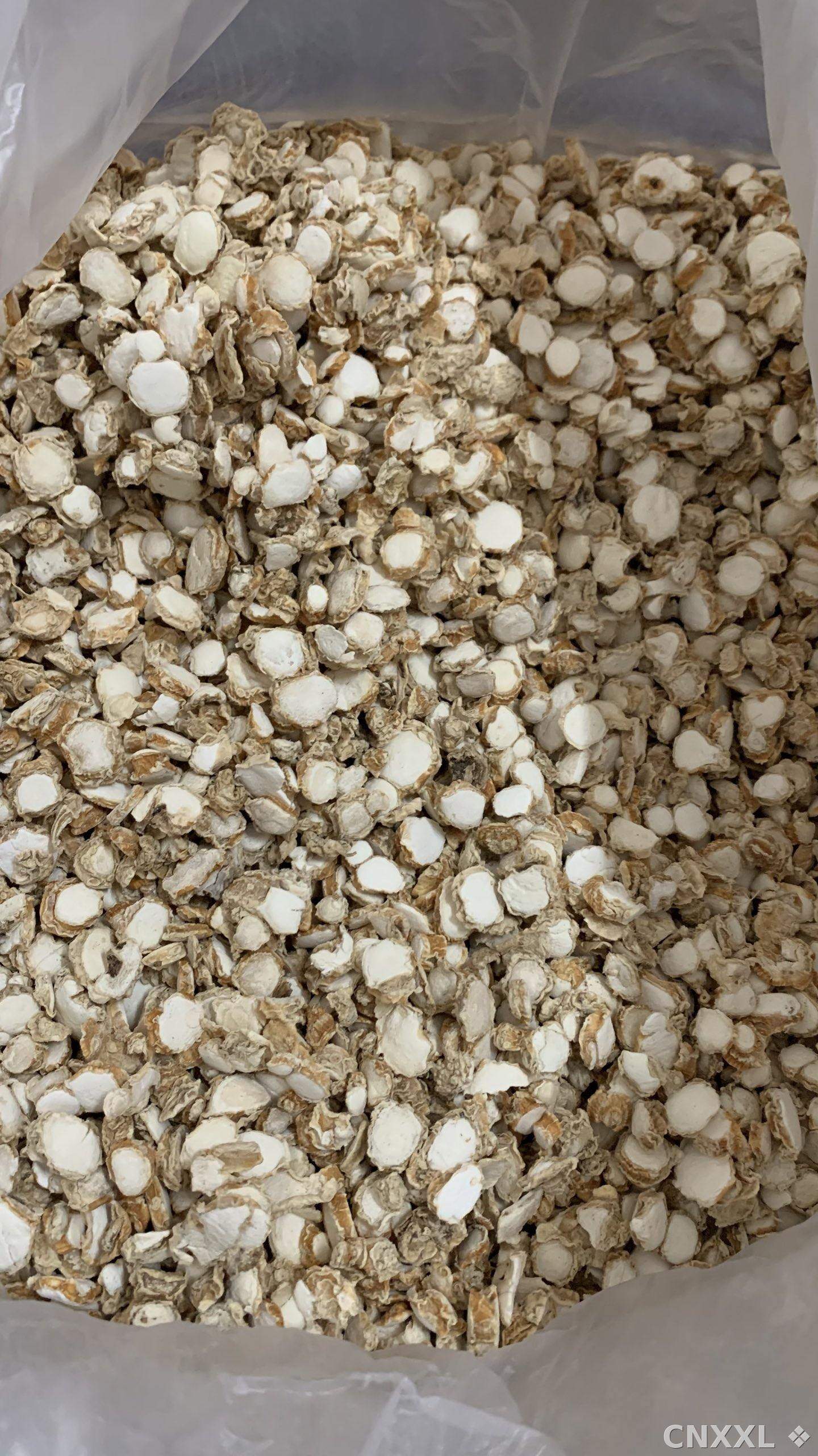 spice_25647_abb538cf_3.jpg