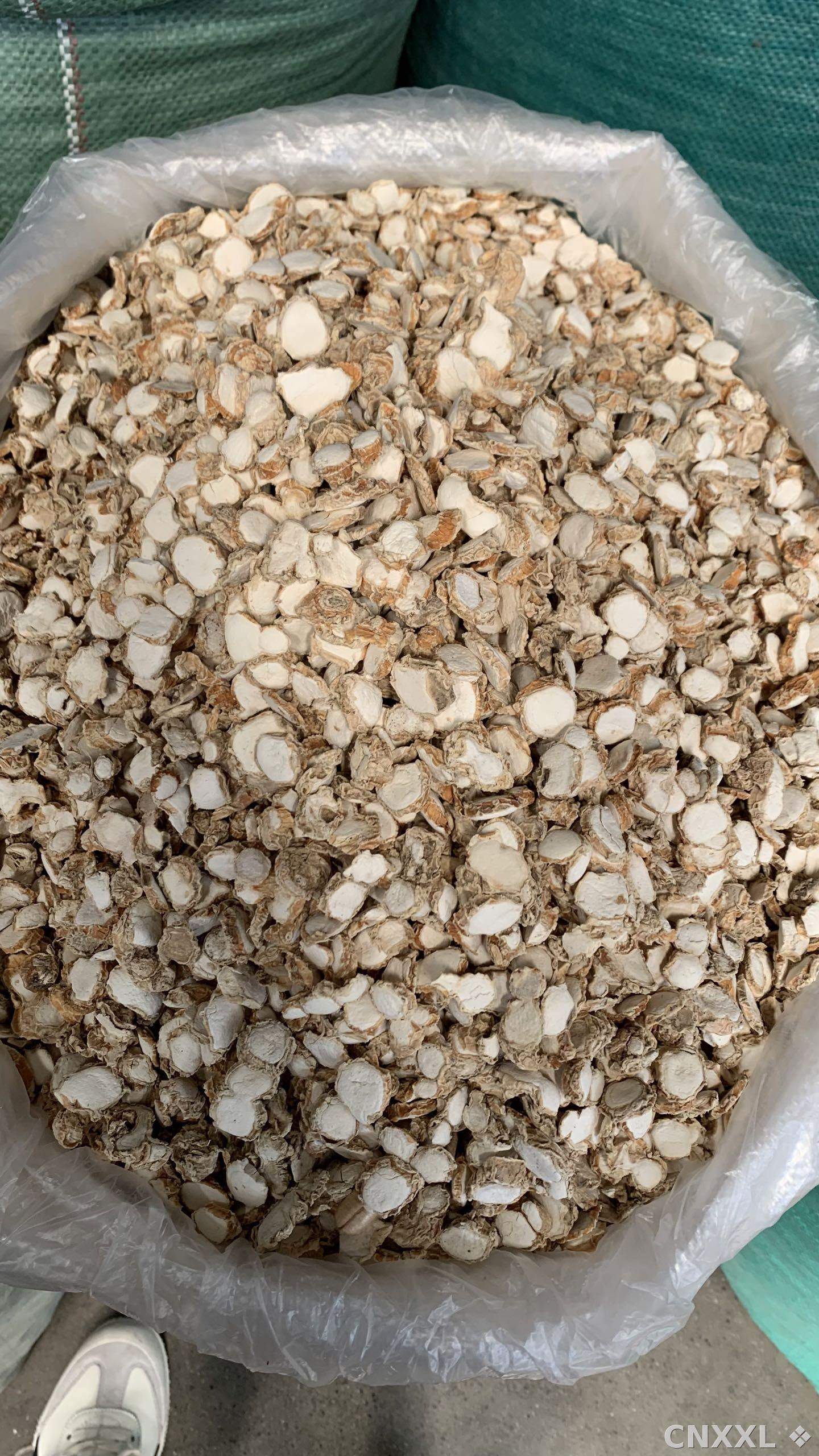 spice_25649_25dd720d_3.jpg
