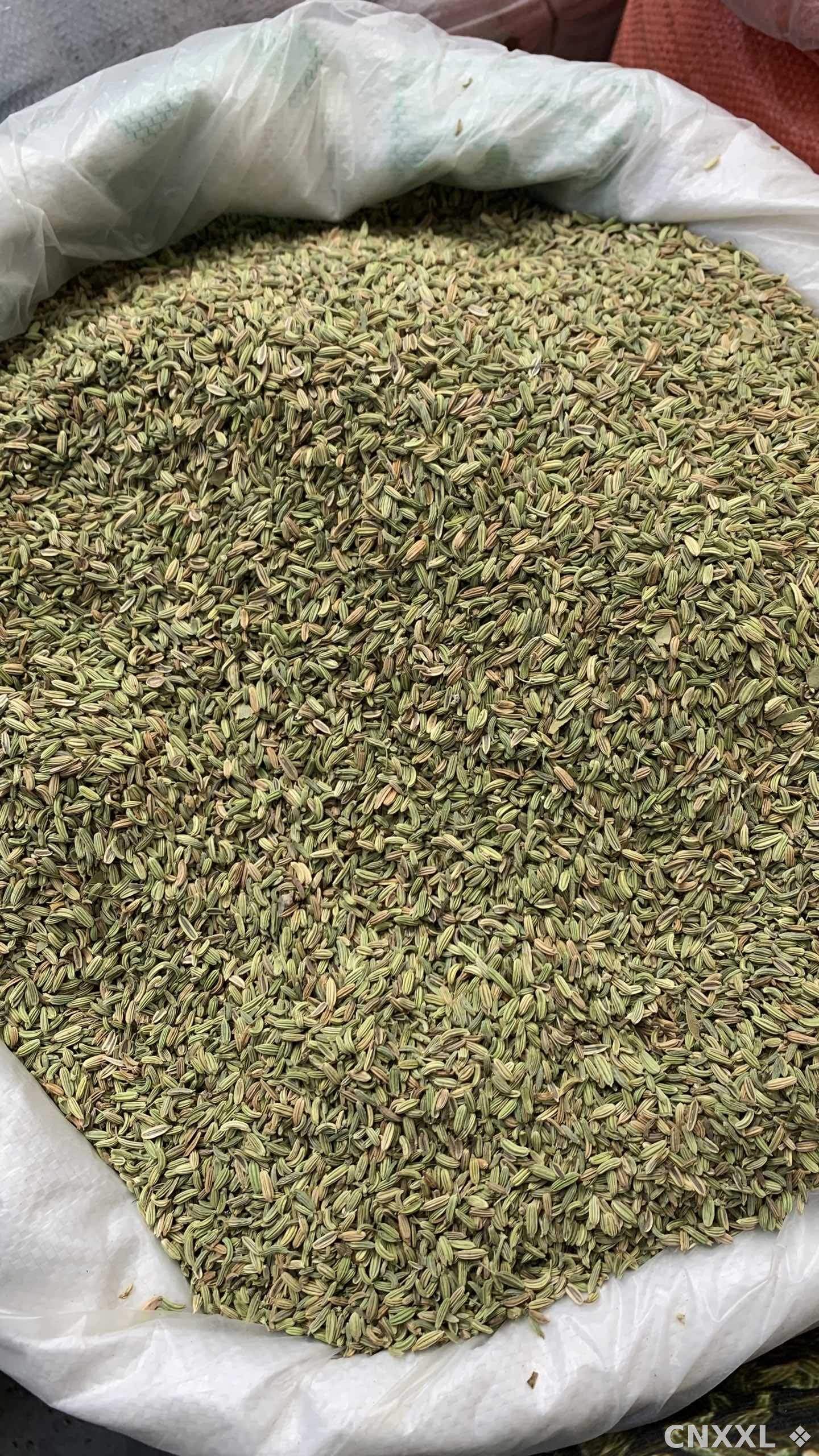 spice_25654_3af14ded_3.jpg
