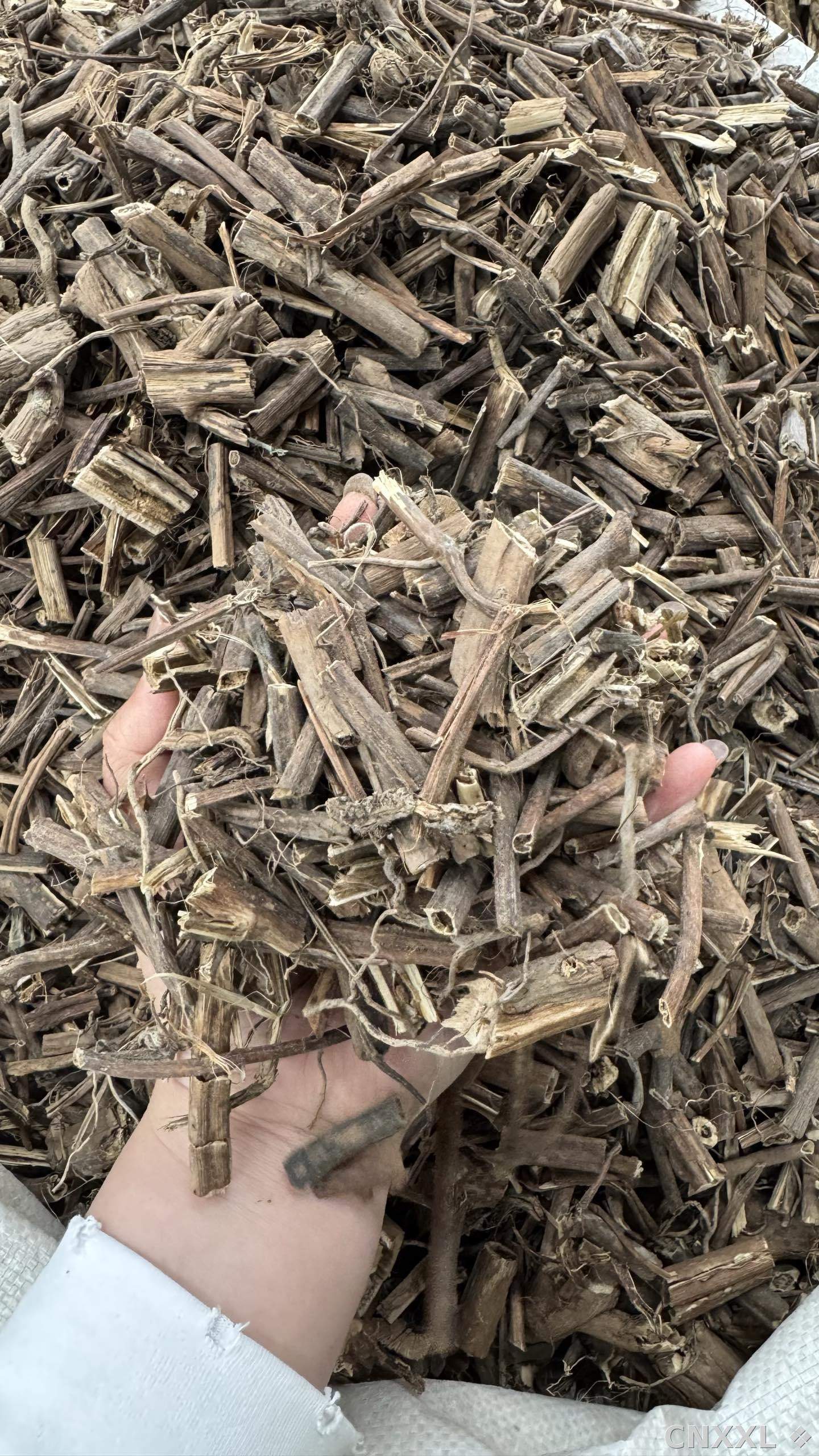 spice_25661_0bd25f07_2.jpg