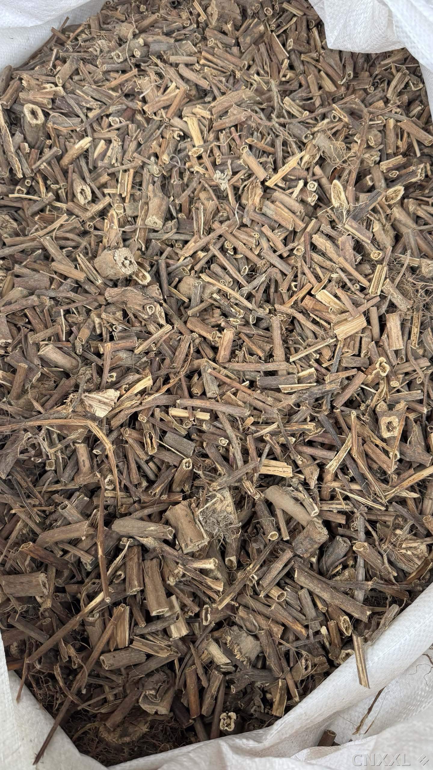 spice_25662_466f69f4_2.jpg