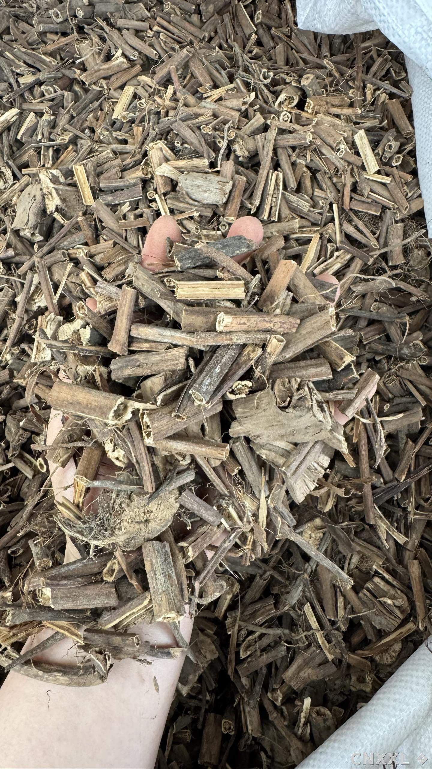 spice_25662_6aa558f2_1.jpg