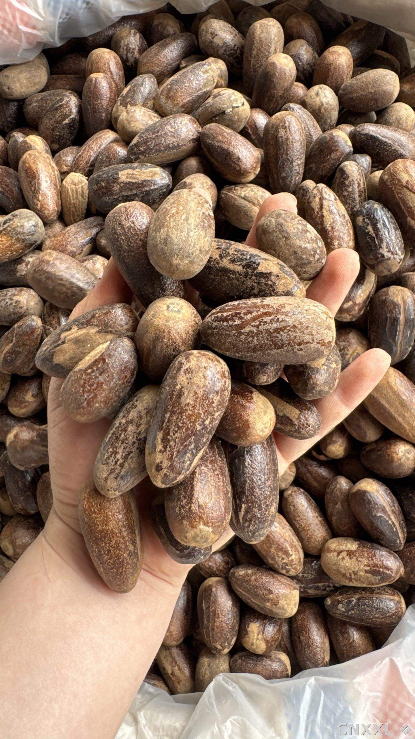 spice_25664_c87181f5_1.jpg