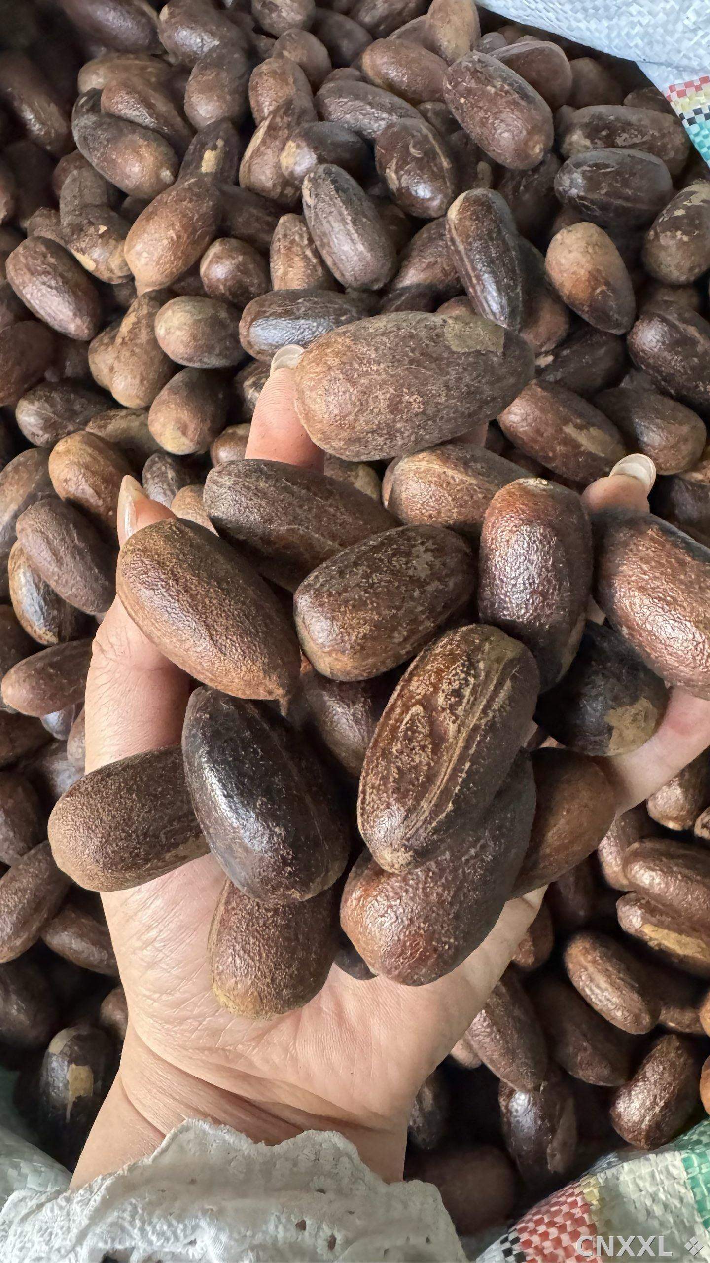spice_25675_c3d0bc4a_1.jpg