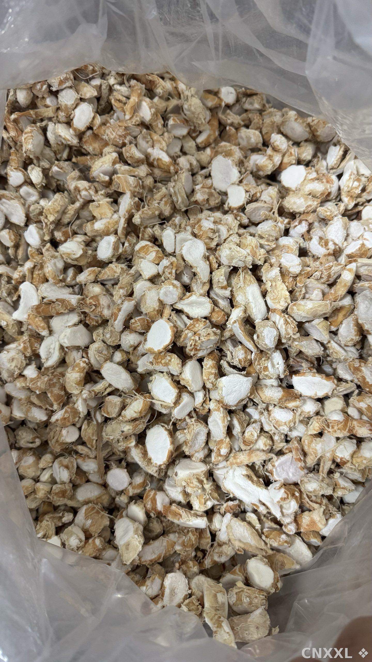 spice_25676_66816cae_2.jpg