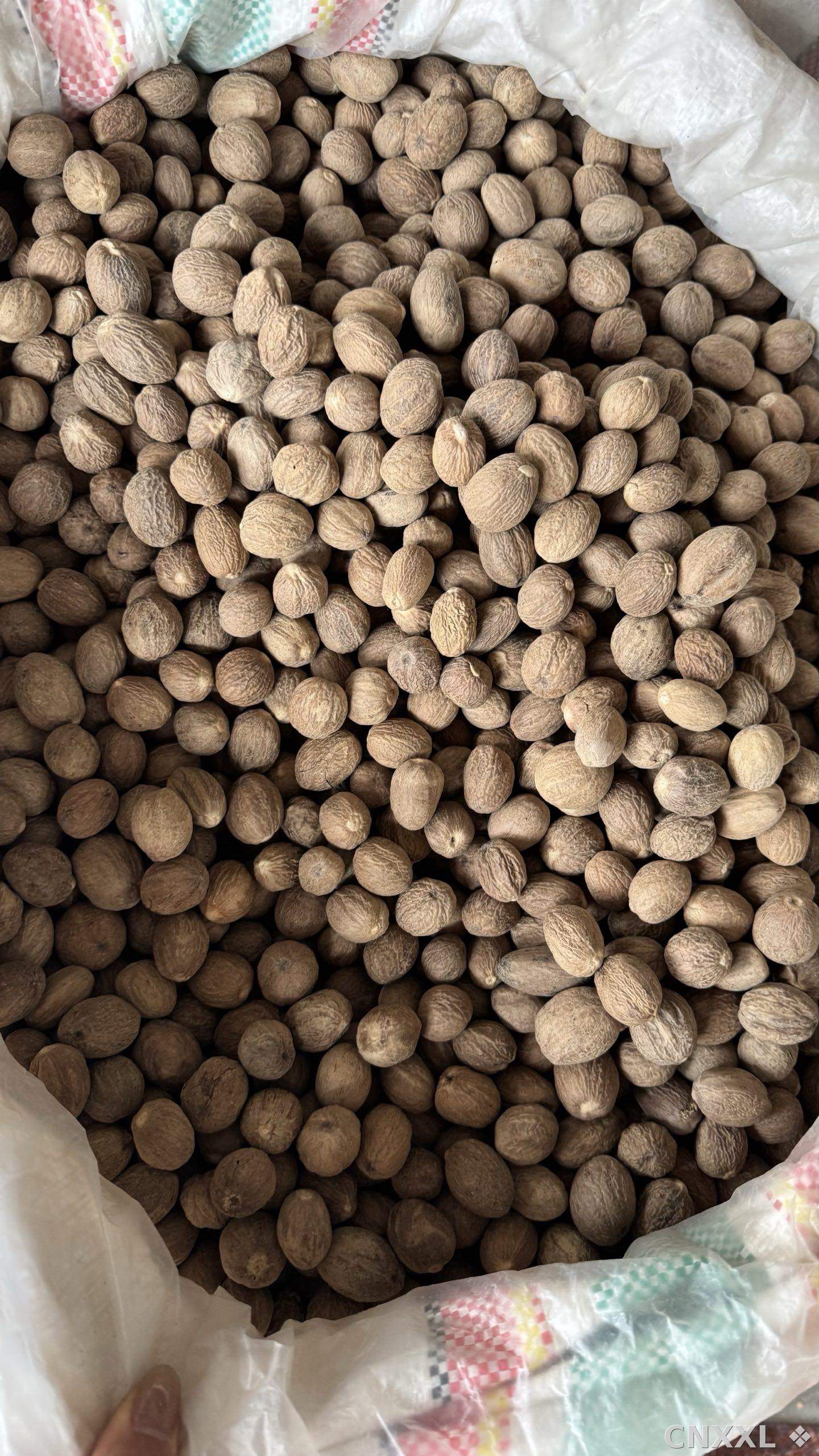 spice_25681_6f8c2298_3.jpg