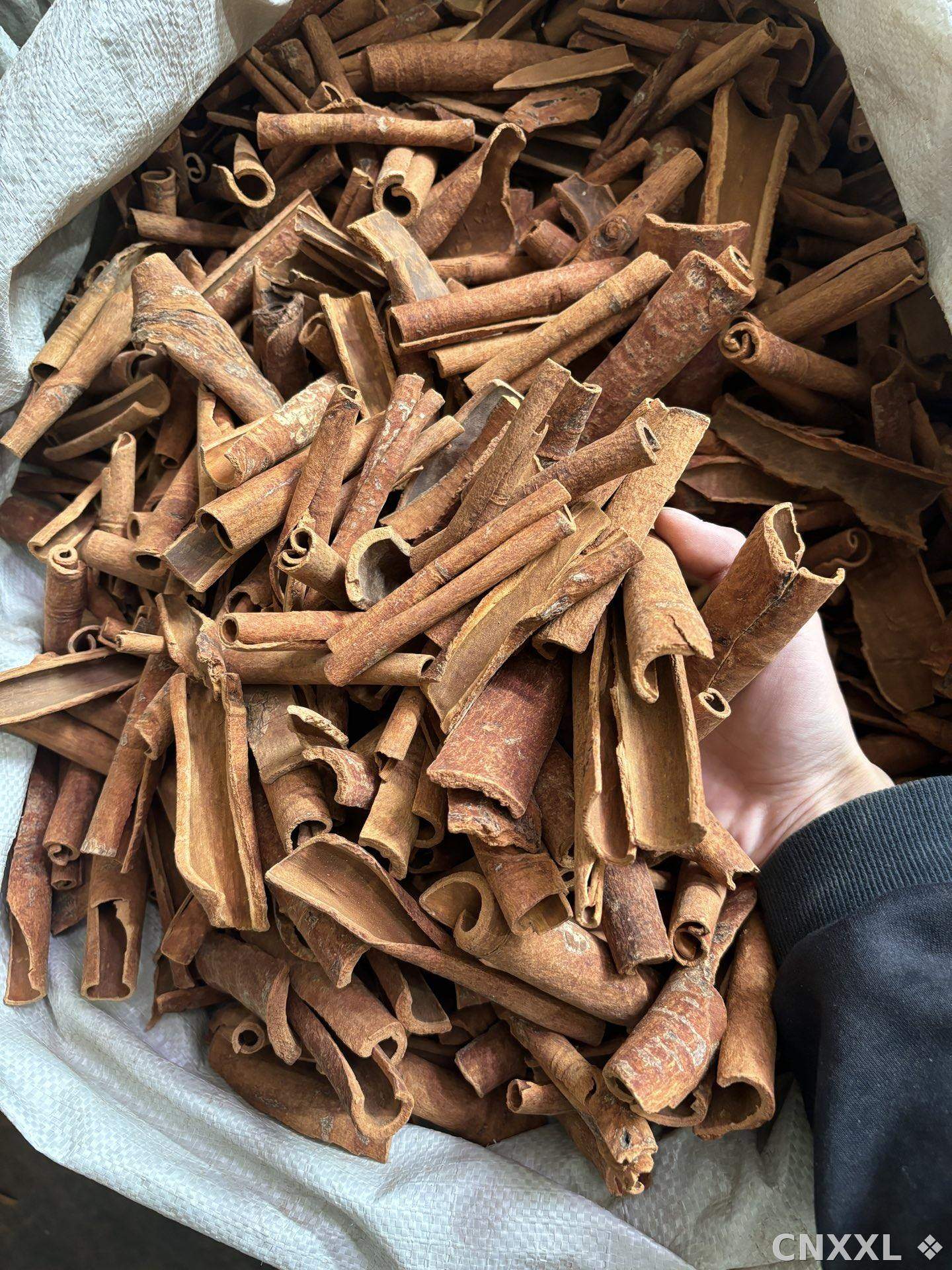 spice_25686_47f1f881_2.jpg