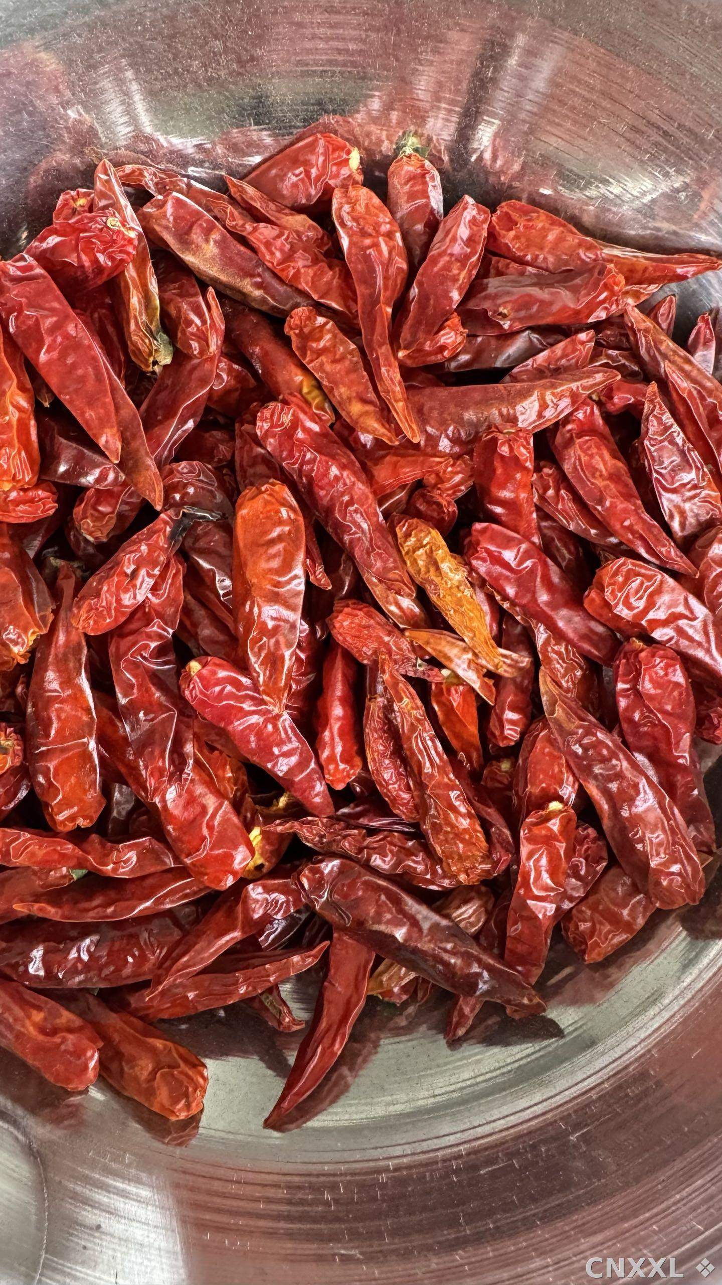 spice_25689_3b2c6cdd_3.jpg
