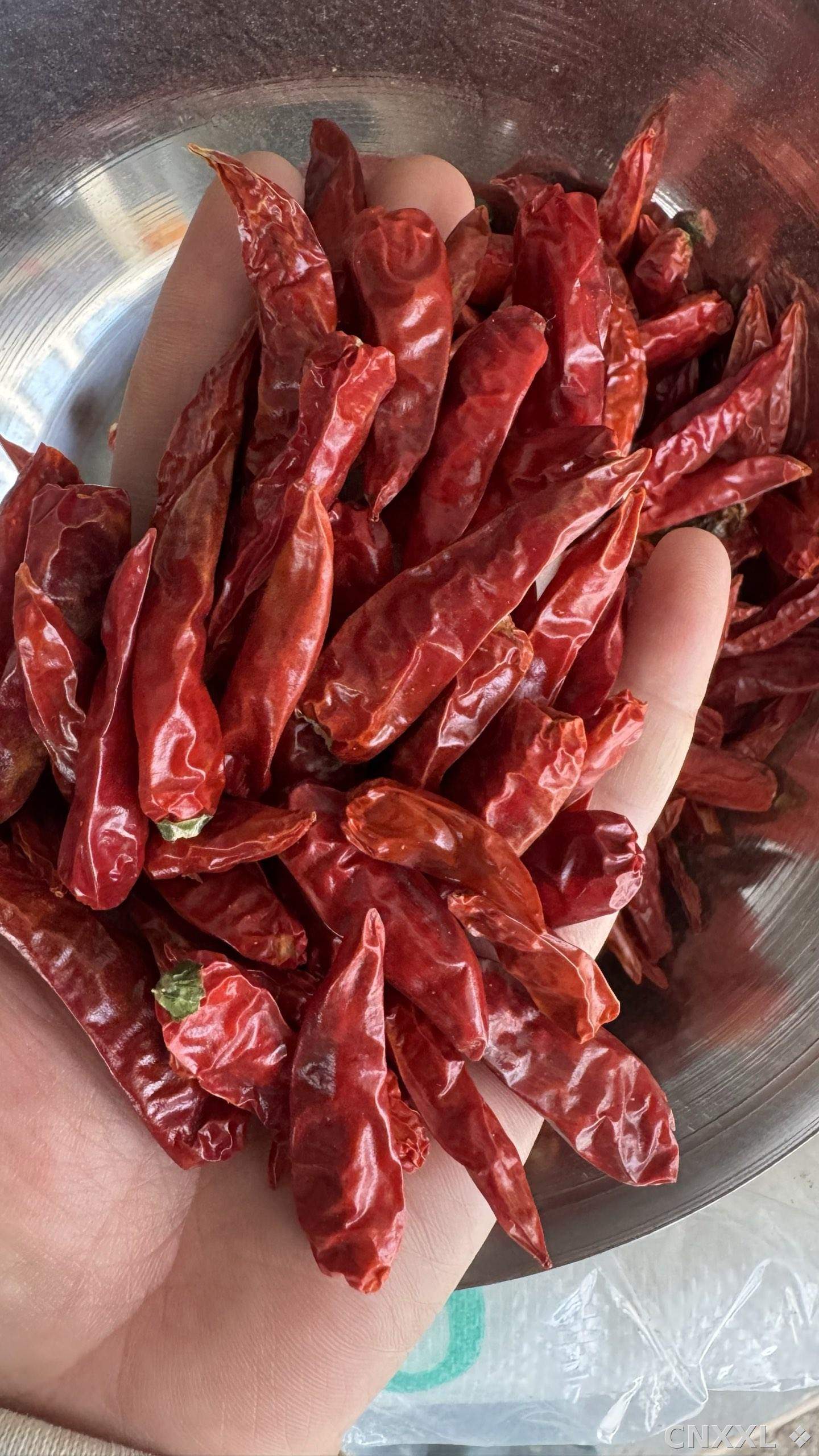 spice_25689_c3b31d5c_2.jpg