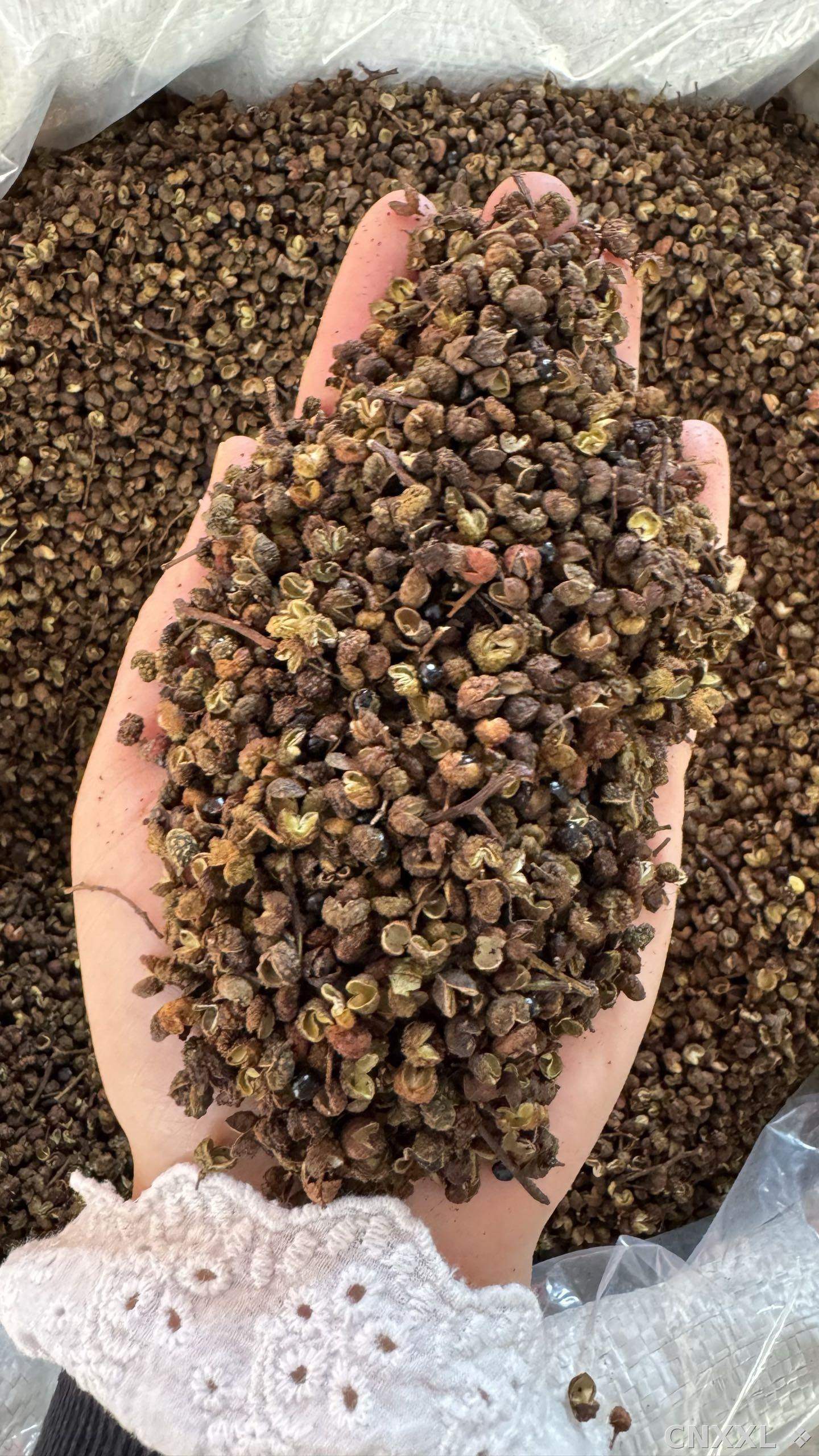 spice_25691_6d6b9ac6_2.jpg