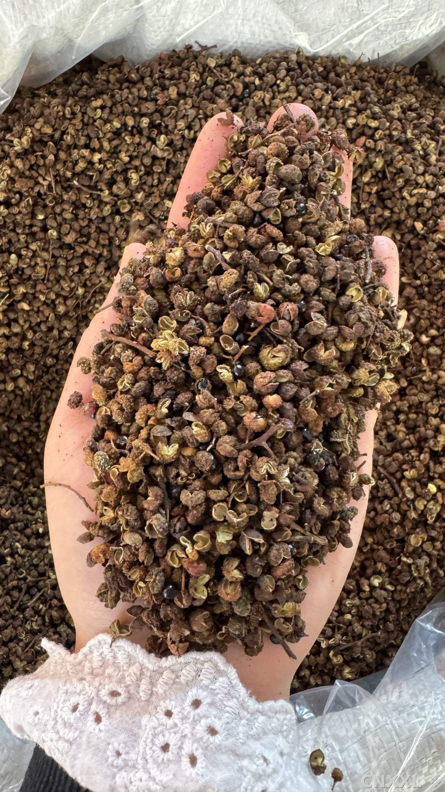 spice_25691_86f607c3_1.jpg