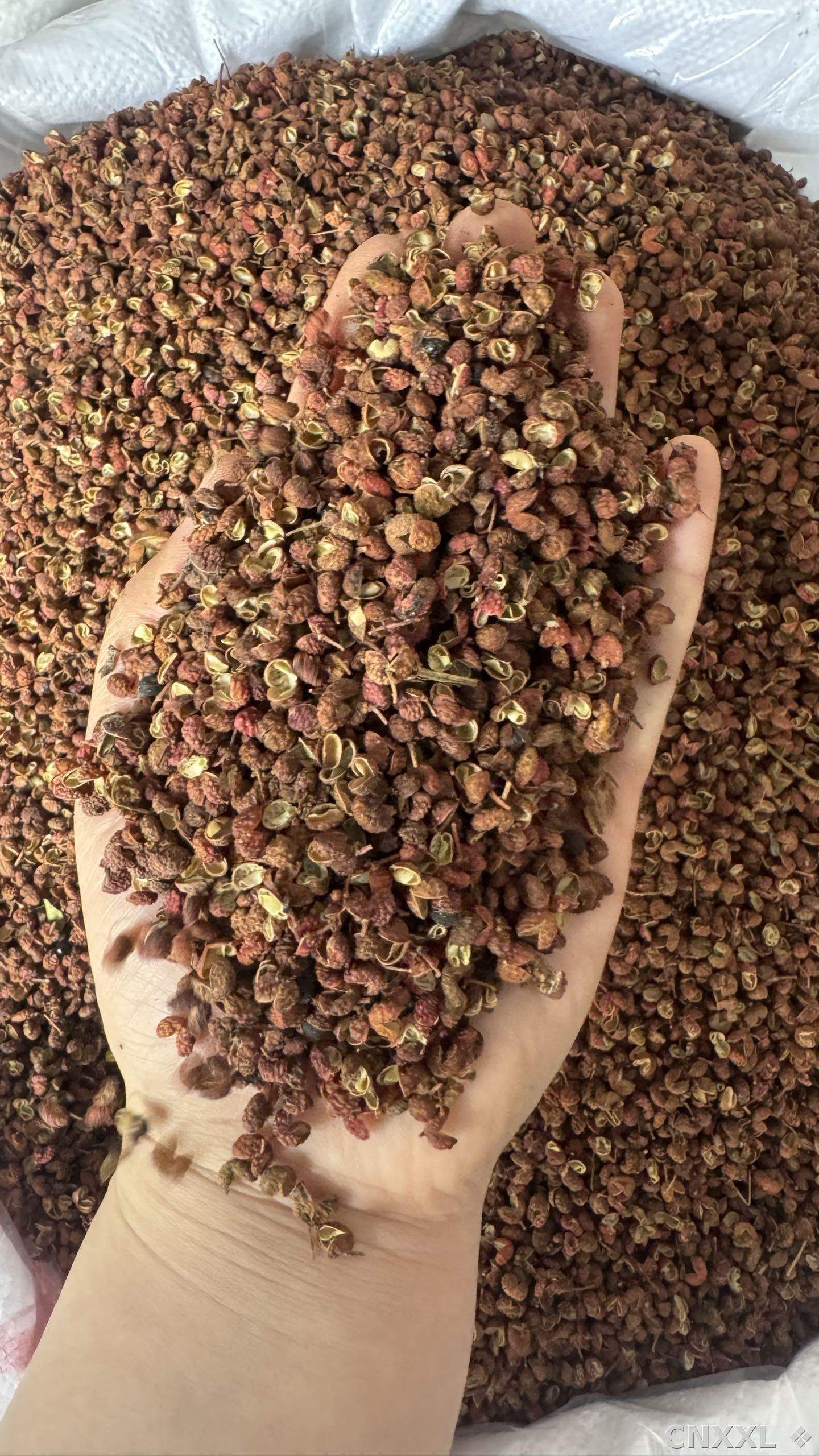 spice_25692_4dbd12f5_2.jpg