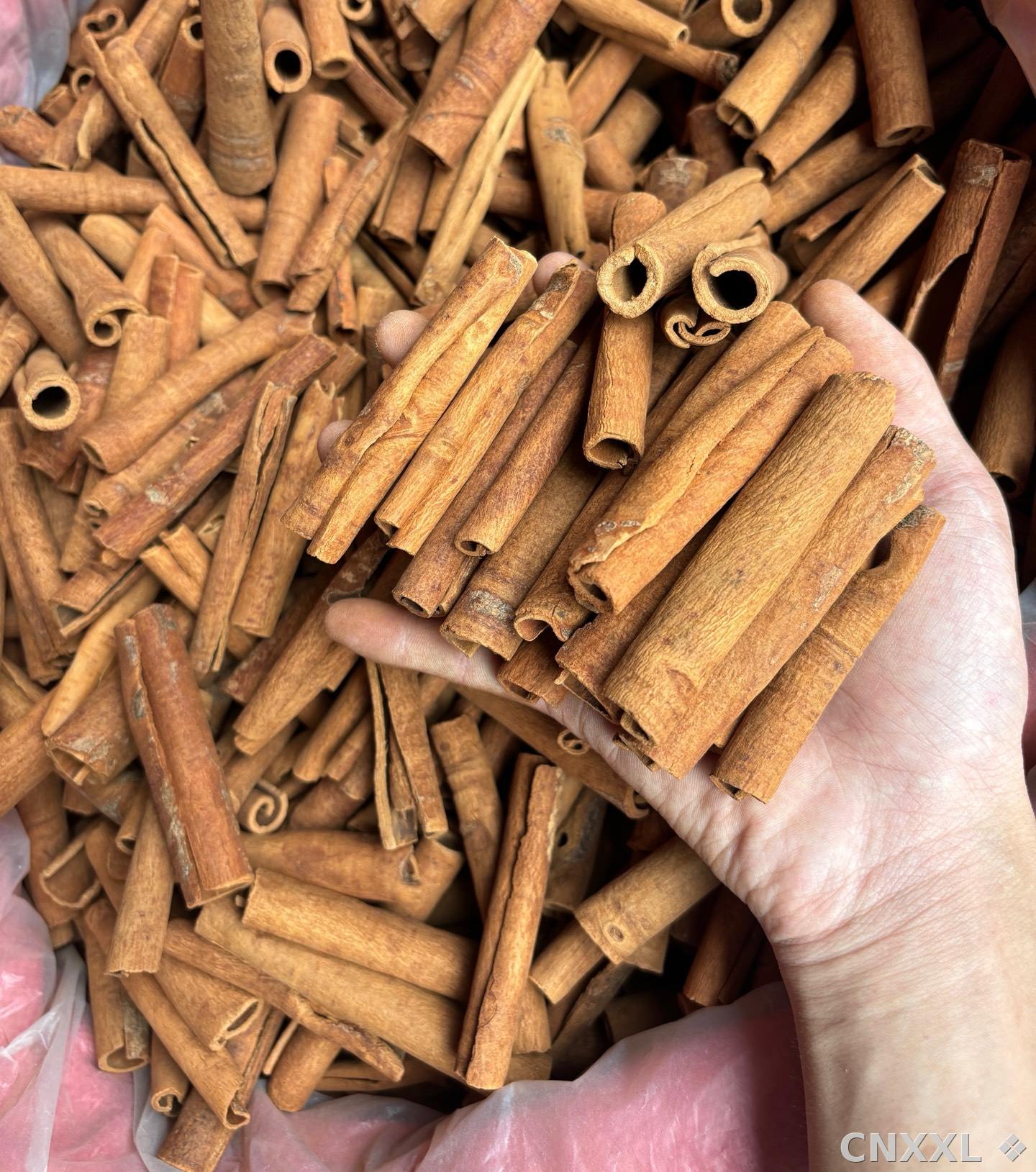 spice_25698_49ab942d_2.jpg