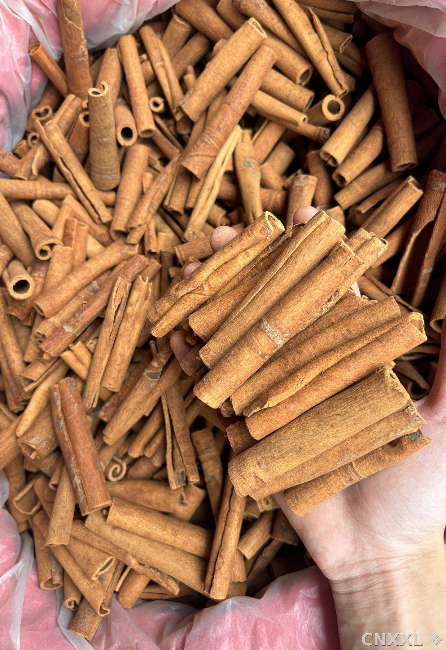 spice_25698_7d8e11d8_3.jpg