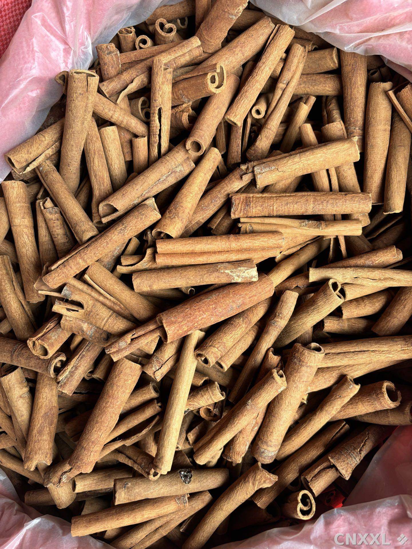 spice_25698_ac42e408_1.jpg