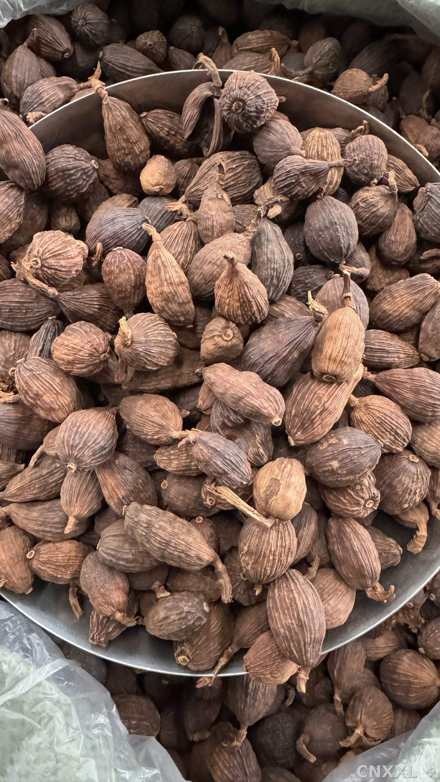 spice_25702_8b768bad_3.jpg